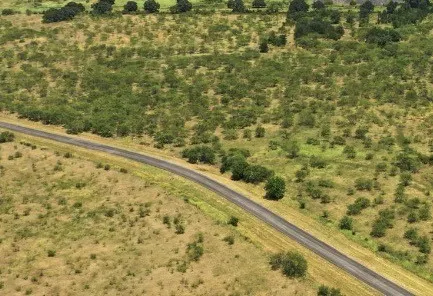 Unimproved Land For Sale in Eastland County , 260 CR 366 Tract 9, Gorman, Texas 76454, 0, 0, Garage spaces, 0 Sqft, built in 0, mls#21364871, Real Estate Agent in Gorman, Homes For Sale in Eastland county, Homes For Sale in Gorman, Realtor in Gorman Texas, Real Estate Brokerage Independent Realty Texas, Luminita Cordes Realtor