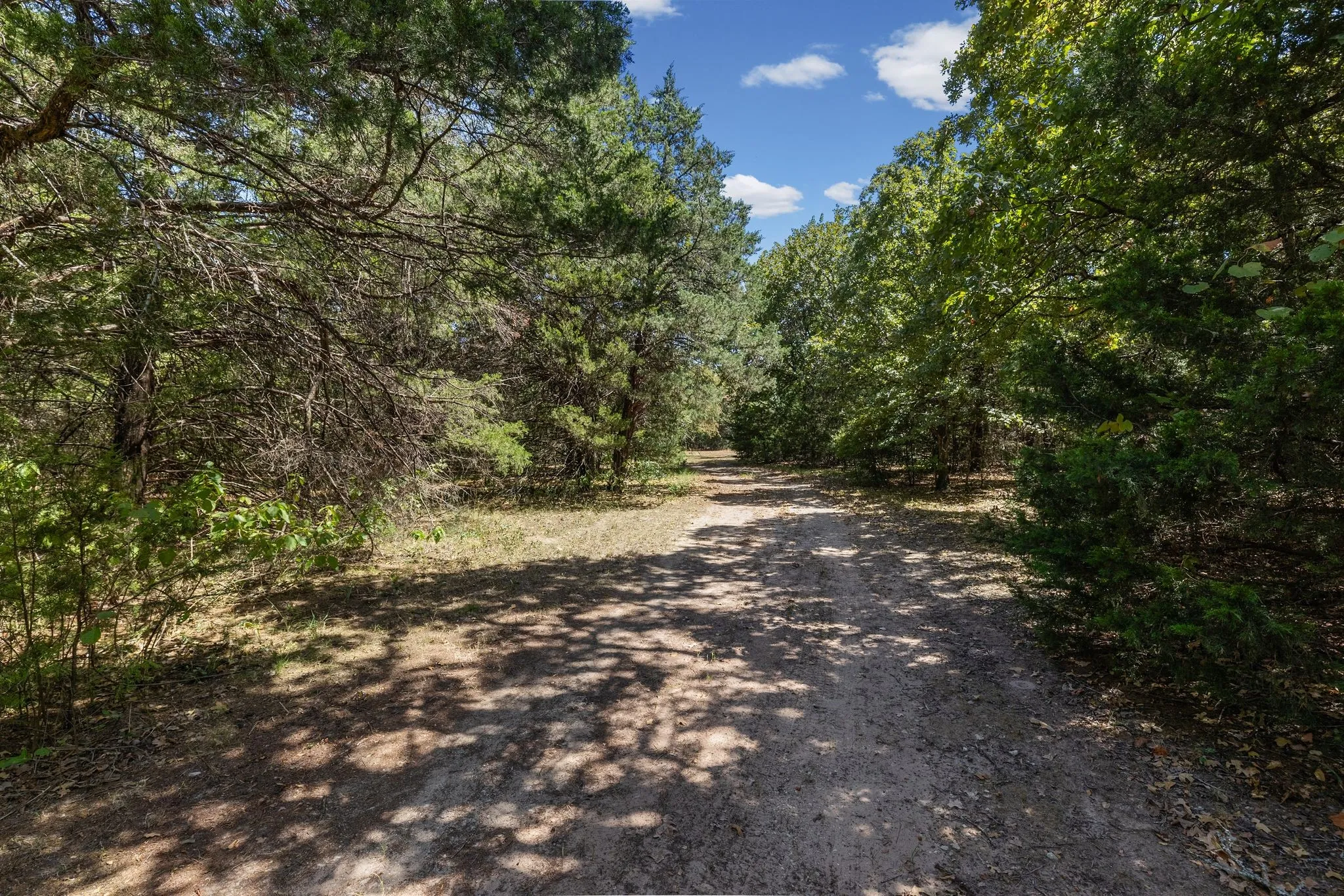 Single Family Residence For Sale in Hunt County , 10401 Holly Creek Road, Terrell, Texas 75160, 5 Bedroom, 4 Bathroom, Garage spaces, 3,576 Sqft, built in 2000, mls#21363936, Real Estate Agent in Terrell, Homes For Sale in Hunt county, Homes For Sale in Terrell, Realtor in Terrell Texas, Real Estate Brokerage Independent Realty Texas, Luminita Cordes Realtor