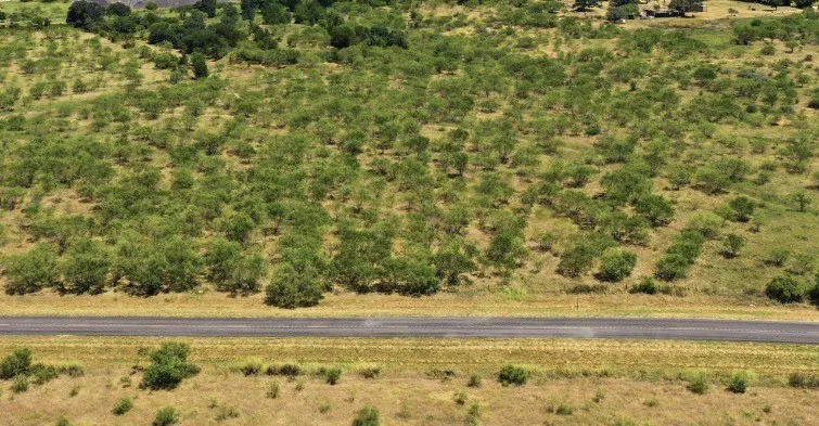 Unimproved Land For Sale in Eastland County , 260 CR 366 Tract 11, Gorman, Texas 76454, 0, 0, Garage spaces, 0 Sqft, built in 0, mls#21364880, Real Estate Agent in Gorman, Homes For Sale in Eastland county, Homes For Sale in Gorman, Realtor in Gorman Texas, Real Estate Brokerage Independent Realty Texas, Luminita Cordes Realtor