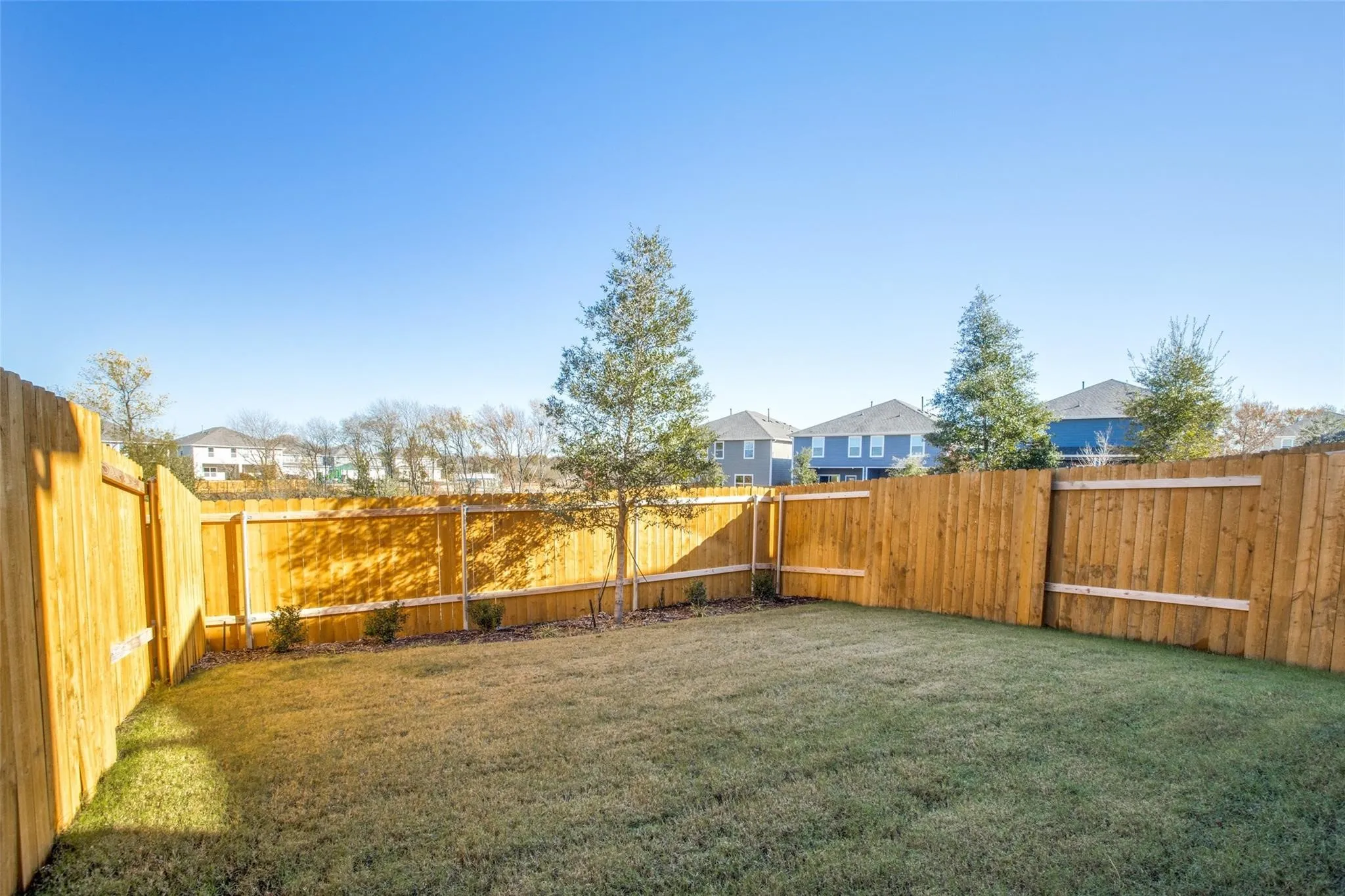 Expansive backyard featuring a manicured lawn, full perimeter wood fencing, and planted trees