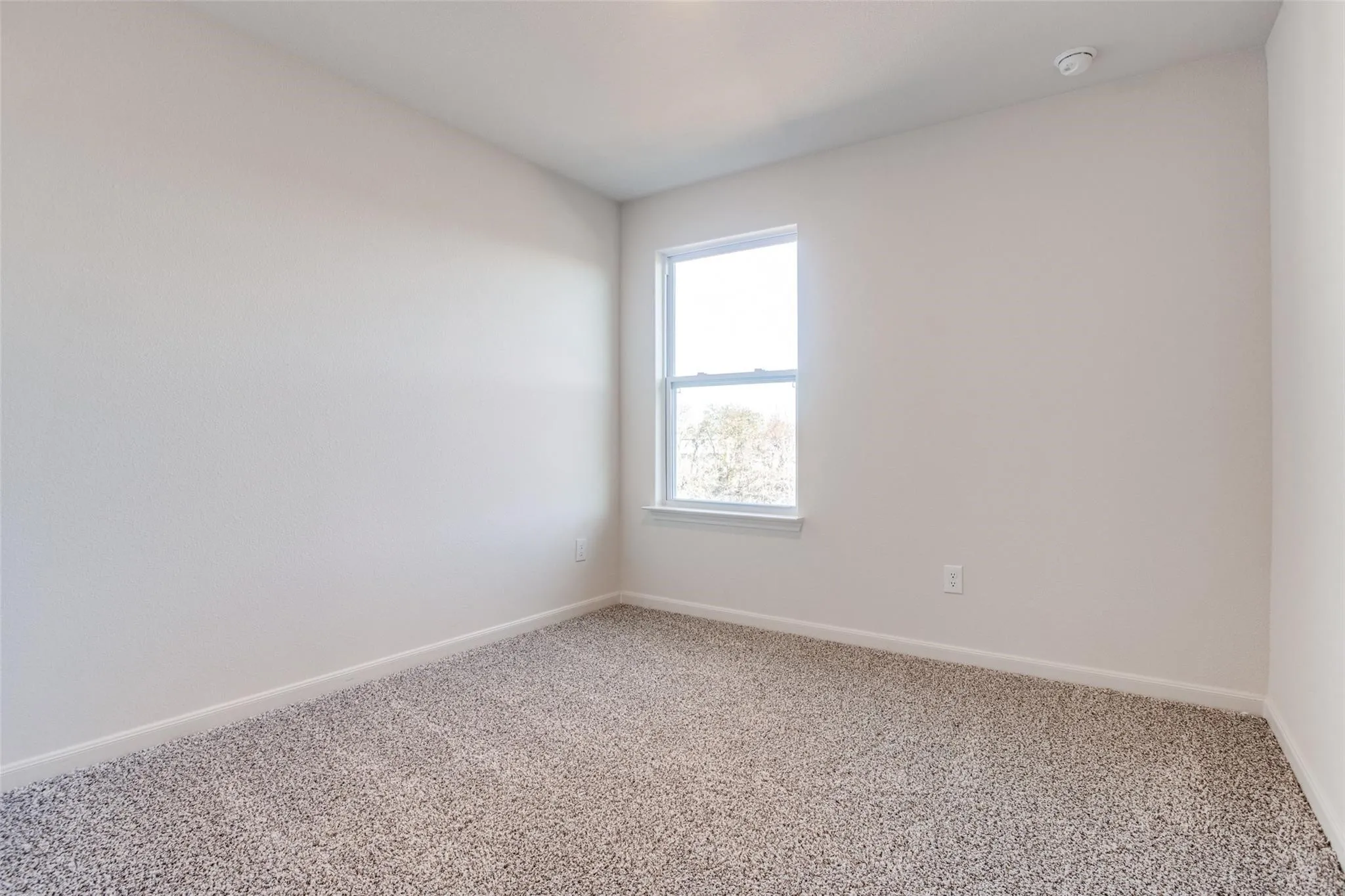 Textured walls, single window, and carpeted flooring