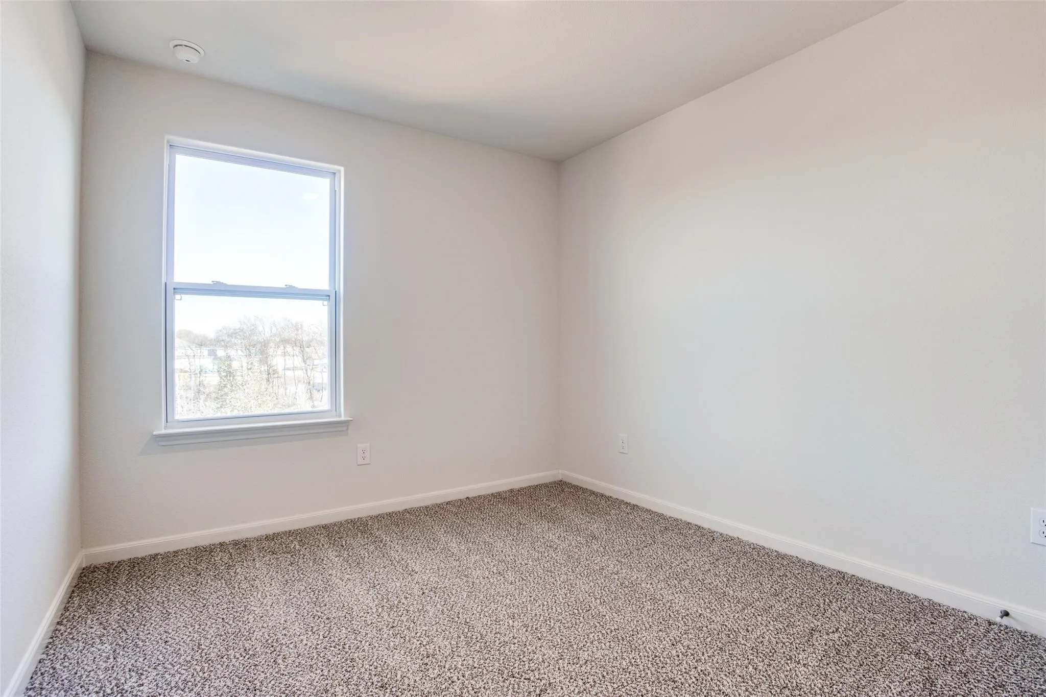 Neutral tone wall paint, carpet flooring, and a single window with white trim