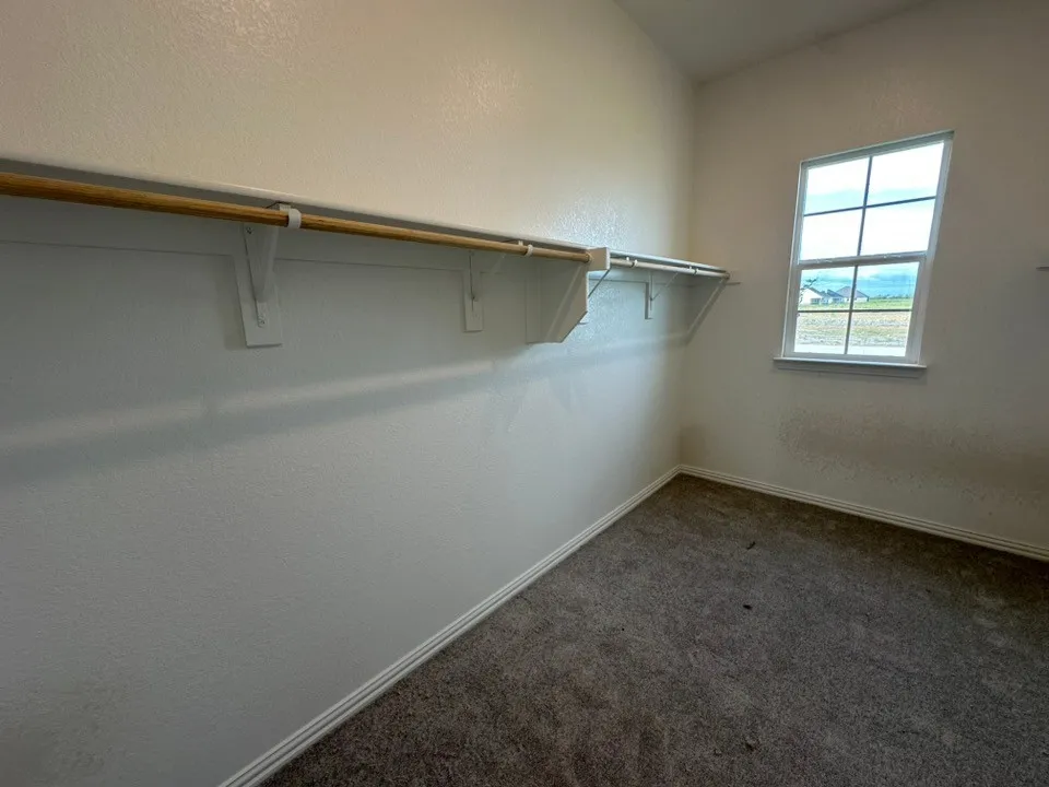 Carpeted interior space with a window, built-in shelving, and a clothing rod