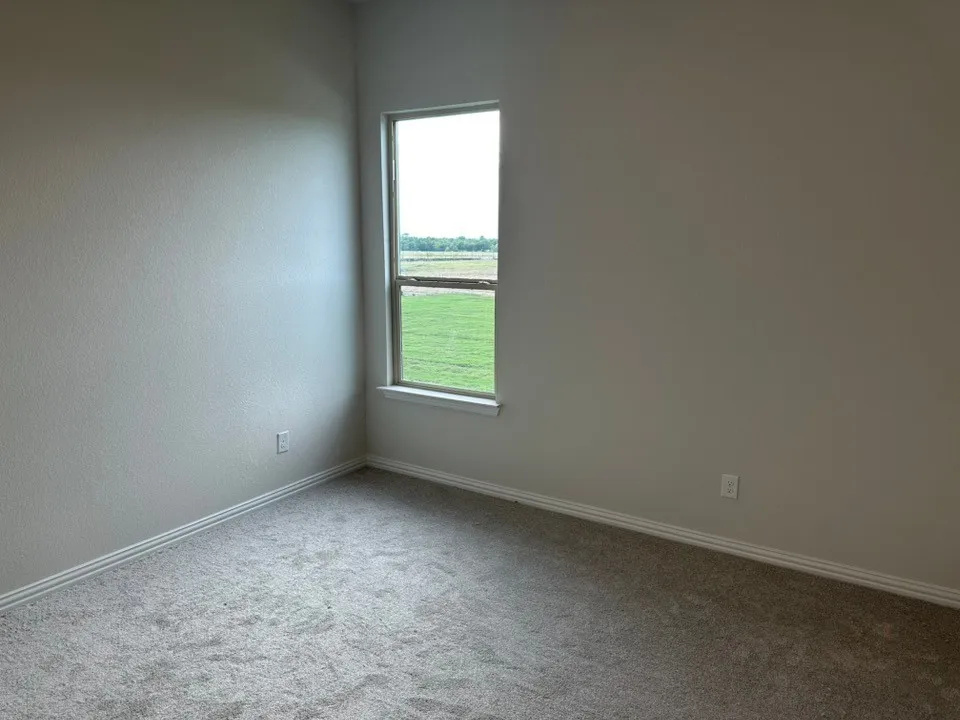Light-toned wall finishes