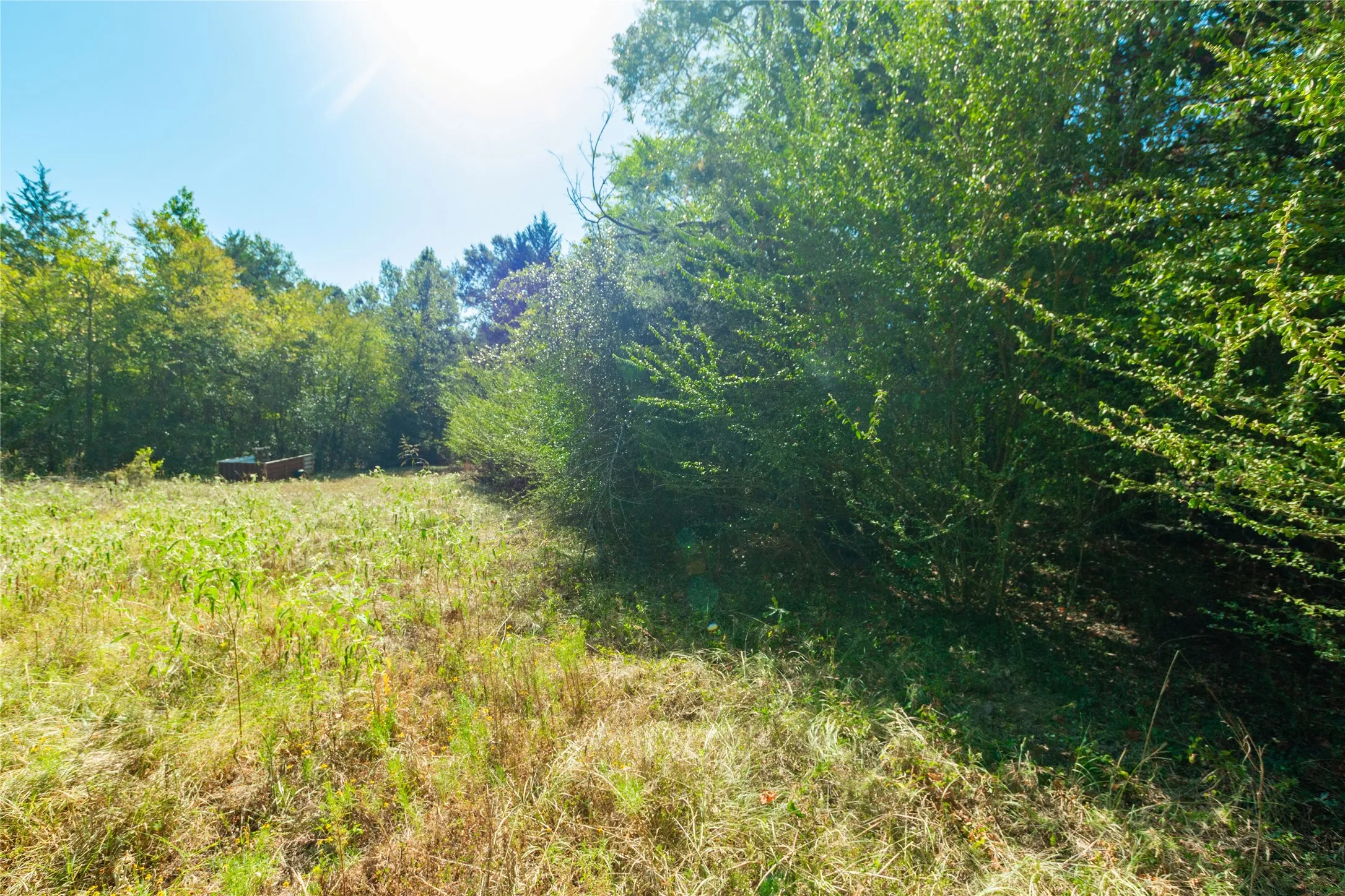 Unimproved Land For Sale in Van Zandt County , 241 County Road 4824, Ben Wheeler, Texas 75754, 0, 0, Garage spaces, 0 Sqft, built in 0, Price $500,000, mls#21364939, Real Estate Agent in Ben Wheeler, Homes For Sale in Van Zandt county, Homes For Sale in Ben Wheeler, Realtor in Ben Wheeler Texas, Real Estate Brokerage Independent Realty Texas, Luminita Cordes Realtor
