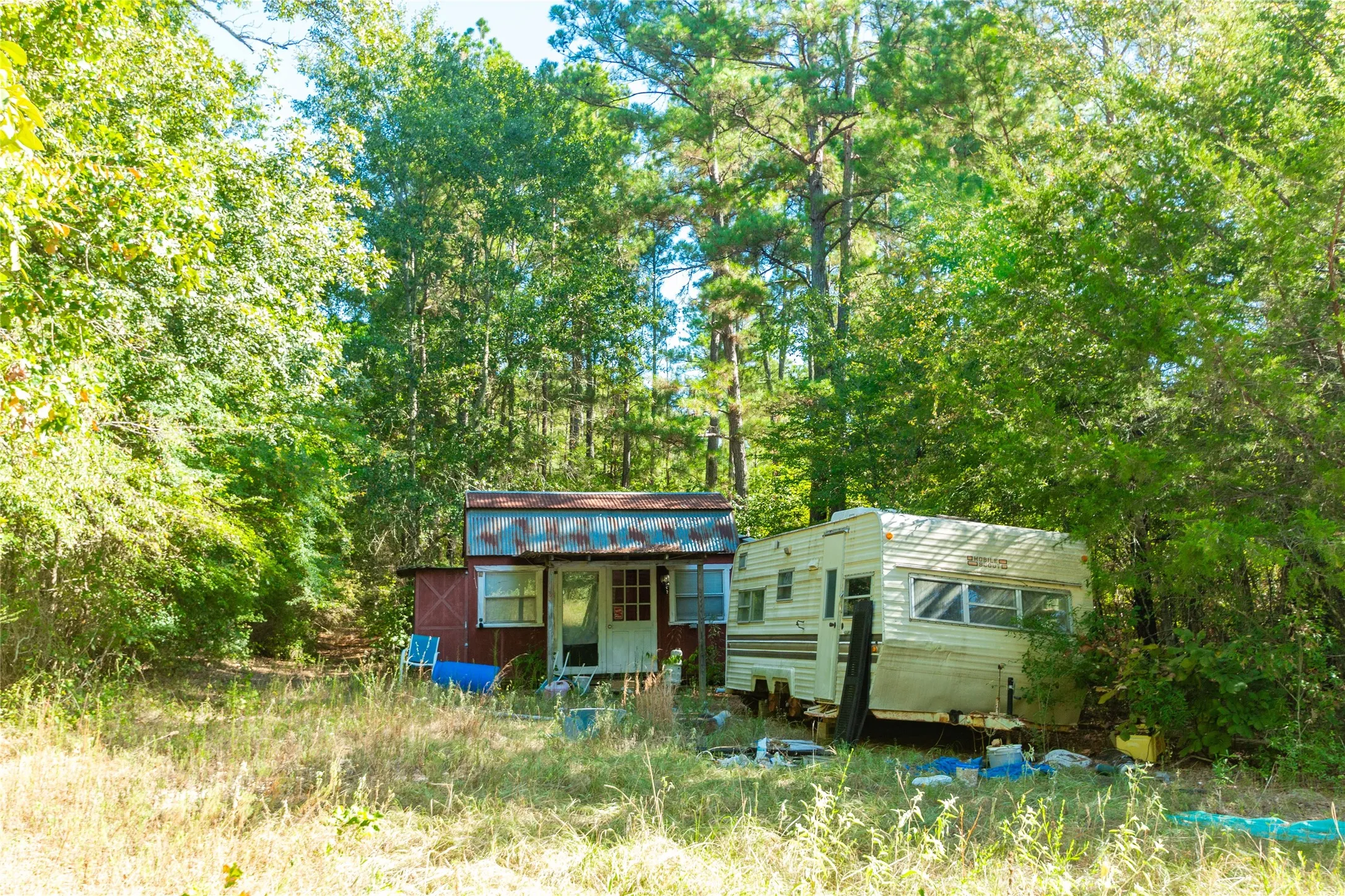 Unimproved Land For Sale in Van Zandt County , 241 County Road 4824, Ben Wheeler, Texas 75754, 0, 0, Garage spaces, 0 Sqft, built in 0, Price $500,000, mls#21364939, Real Estate Agent in Ben Wheeler, Homes For Sale in Van Zandt county, Homes For Sale in Ben Wheeler, Realtor in Ben Wheeler Texas, Real Estate Brokerage Independent Realty Texas, Luminita Cordes Realtor