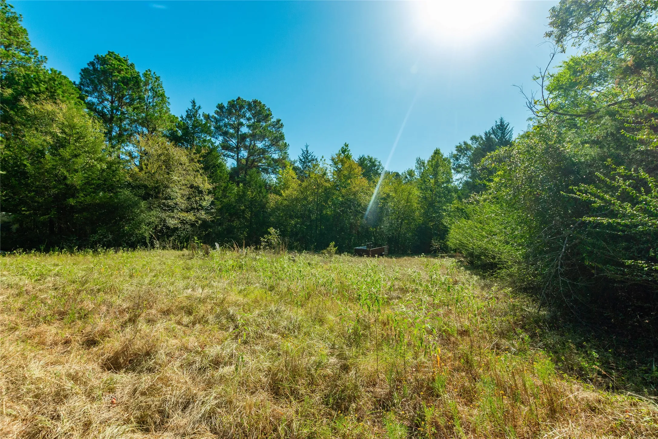Unimproved Land For Sale in Van Zandt County , 241 County Road 4824, Ben Wheeler, Texas 75754, 0, 0, Garage spaces, 0 Sqft, built in 0, Price $500,000, mls#21364939, Real Estate Agent in Ben Wheeler, Homes For Sale in Van Zandt county, Homes For Sale in Ben Wheeler, Realtor in Ben Wheeler Texas, Real Estate Brokerage Independent Realty Texas, Luminita Cordes Realtor