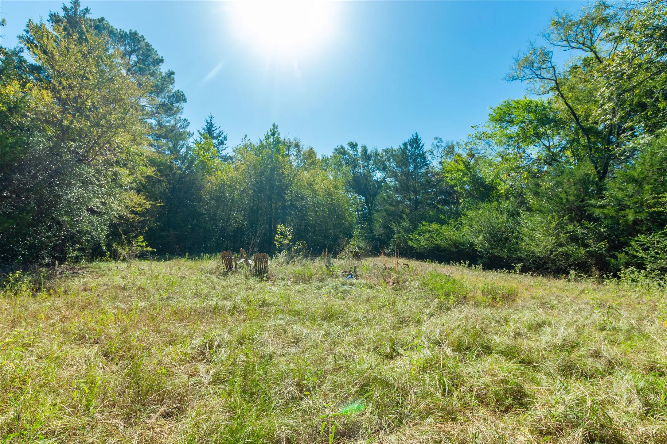 Unimproved Land For Sale in Van Zandt County , 241 County Road 4824, Ben Wheeler, Texas 75754, 0, 0, Garage spaces, 0 Sqft, built in 0, Price $500,000, mls#21364939, Real Estate Agent in Ben Wheeler, Homes For Sale in Van Zandt county, Homes For Sale in Ben Wheeler, Realtor in Ben Wheeler Texas, Real Estate Brokerage Independent Realty Texas, Luminita Cordes Realtor