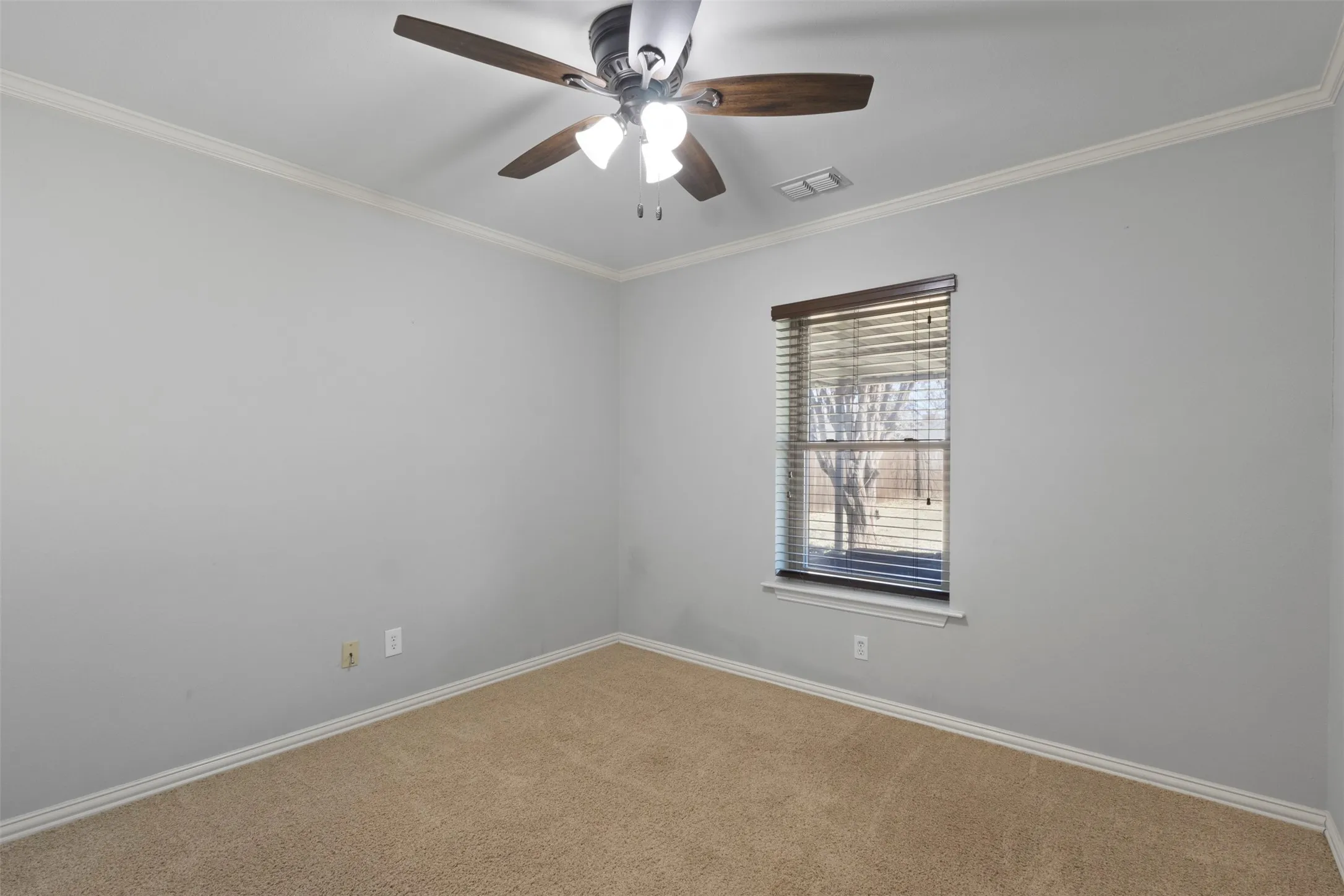 Neutral wall paint, ceiling fan with light fixture, single window with blinds, and carpeting