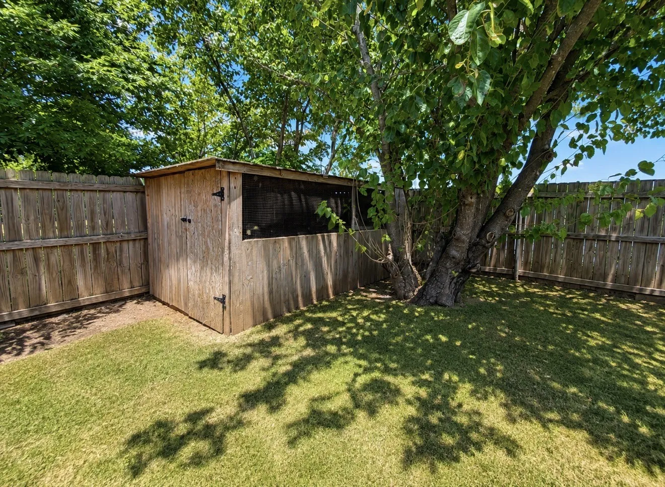 Chicken coop in backyard