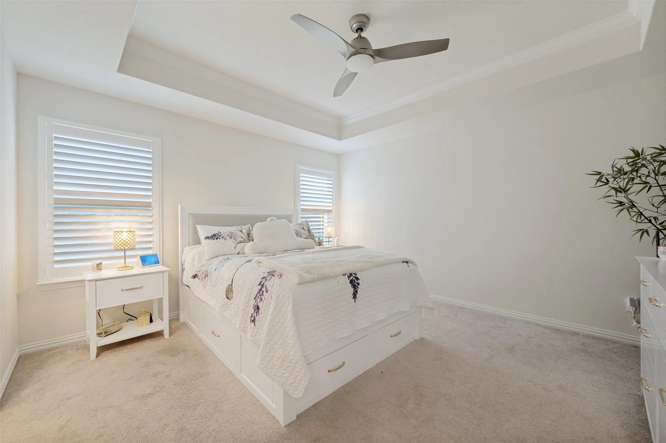 Tray ceiling with crown molding, two windows with plantation shutters, ceiling fan with integrated lighting, and carpet flooring