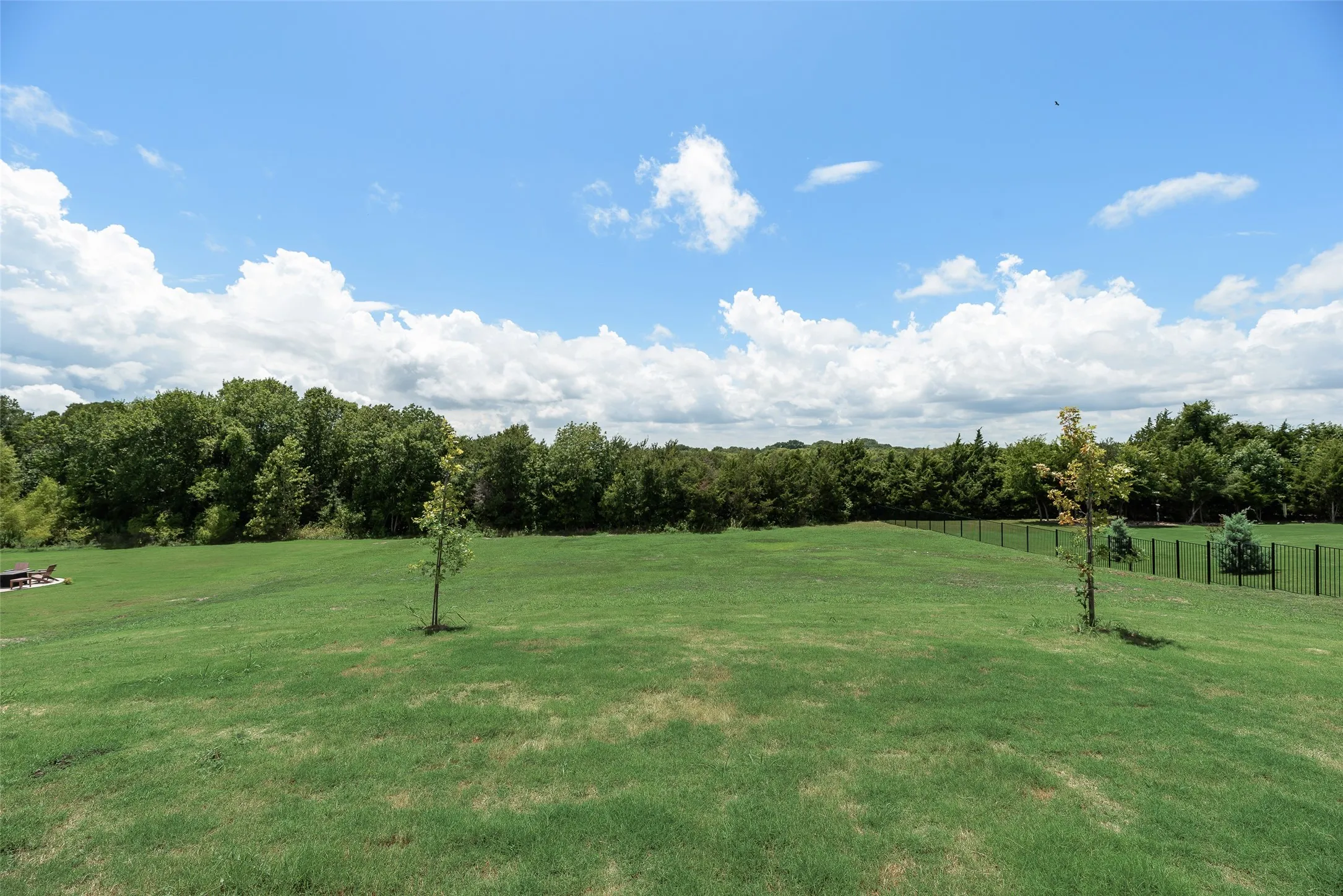 Expansive grass lawn with a gently sloping grade, bordered by a black metal fence and mature trees