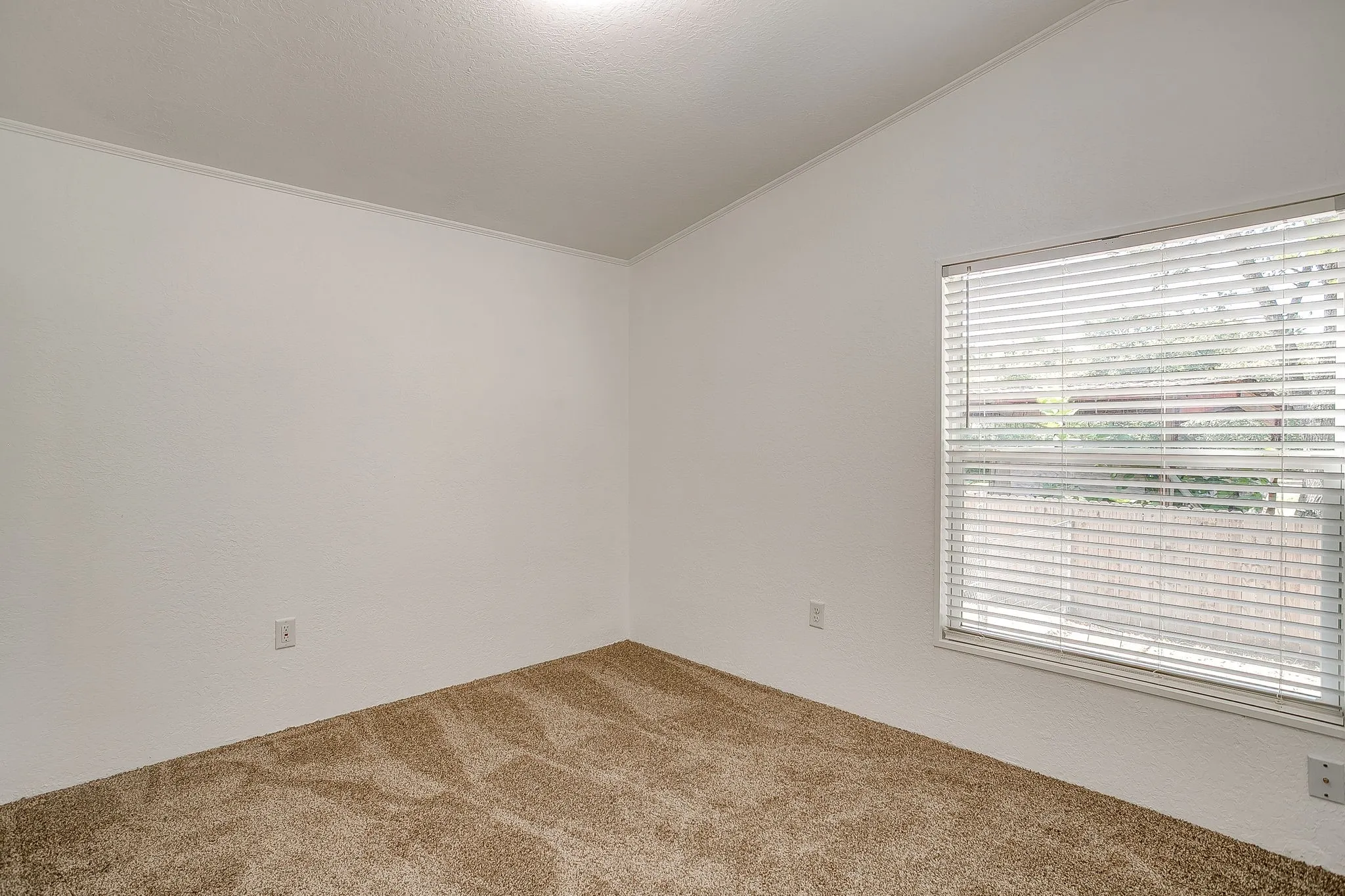 Carpeted flooring, white painted walls, window with blinds, and white trim