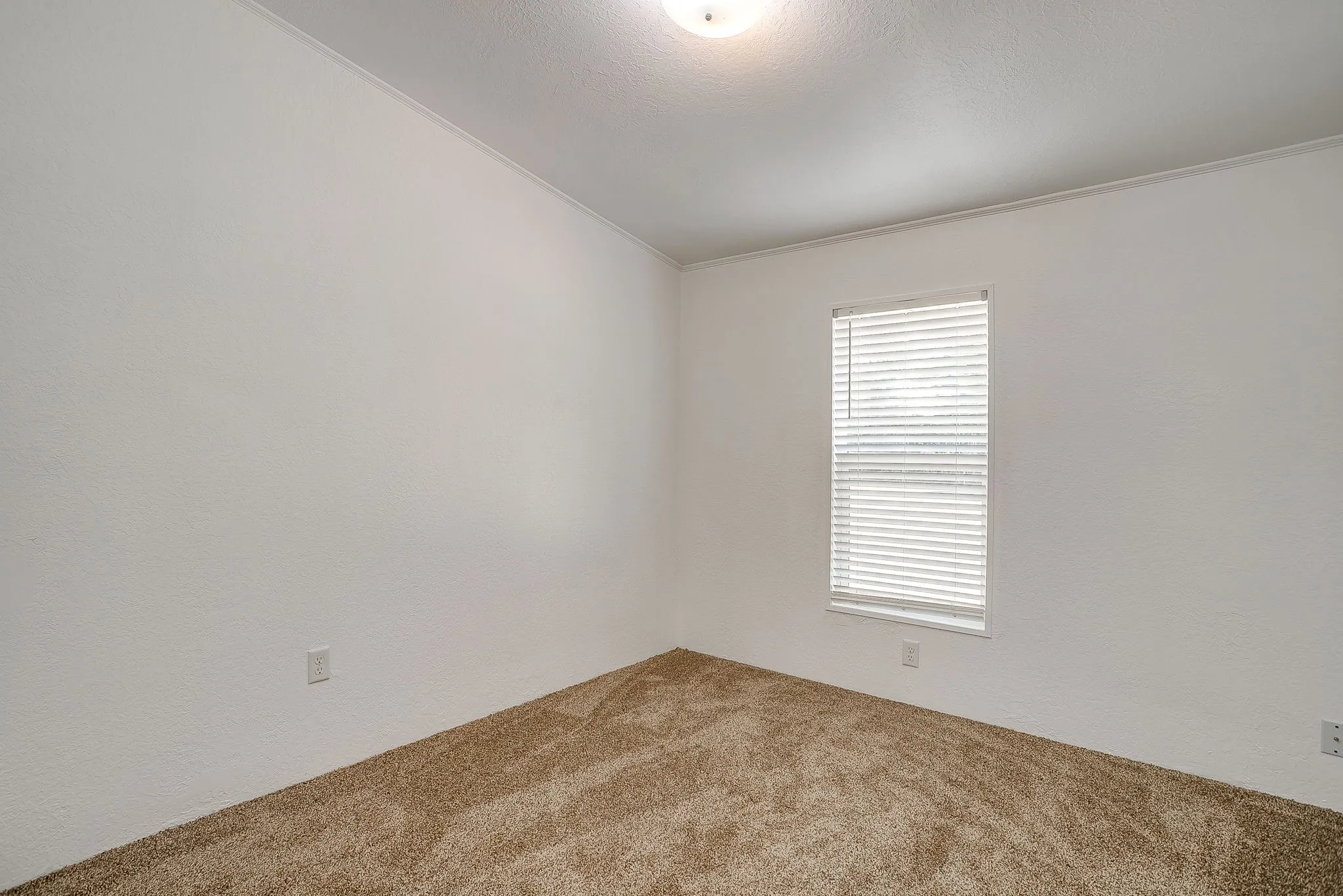 Carpeted flooring, white textured walls, and a single window with blinds