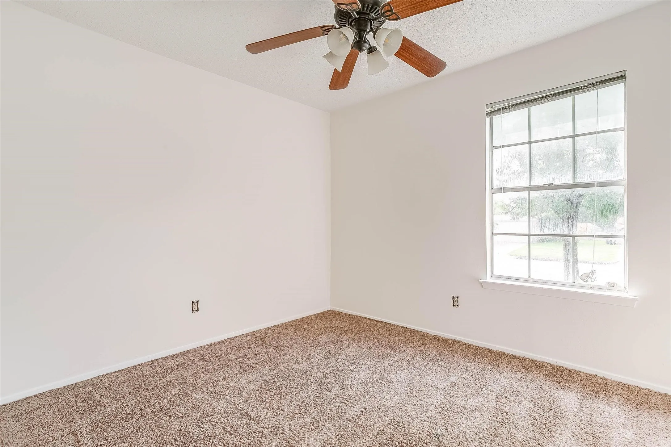 Wall-to-wall carpeting with a neutral finish