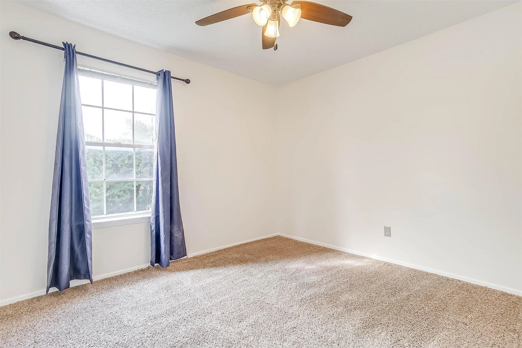 Neutral carpeting and a ceiling fan with integrated lighting