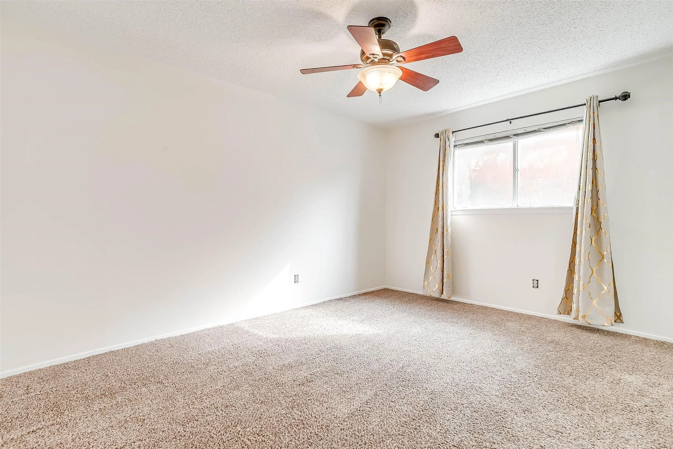 Bright room with textured carpeting, a multi-pane window, and a ceiling fan with integrated lighting