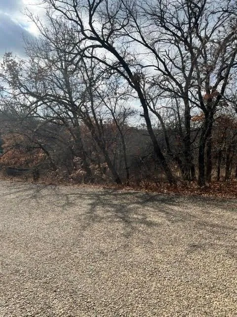 Unimproved Land For Sale in Wise County , 0 Jim Walter Drive, Runaway Bay, Texas 76426, 0, 0, Garage spaces, 0 Sqft, built in 0, Price $50,000, mls#21365060, Real Estate Agent in Runaway Bay, Homes For Sale in Wise county, Homes For Sale in Runaway Bay, Realtor in Runaway Bay Texas, Real Estate Brokerage Independent Realty Texas, Luminita Cordes Realtor
