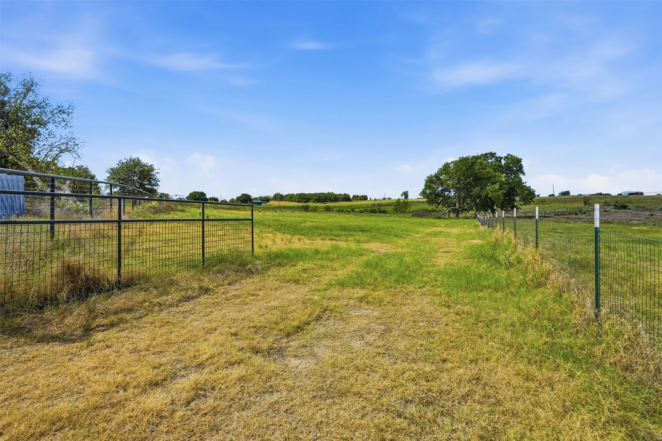 Expansive open field with scattered trees and perimeter fencing