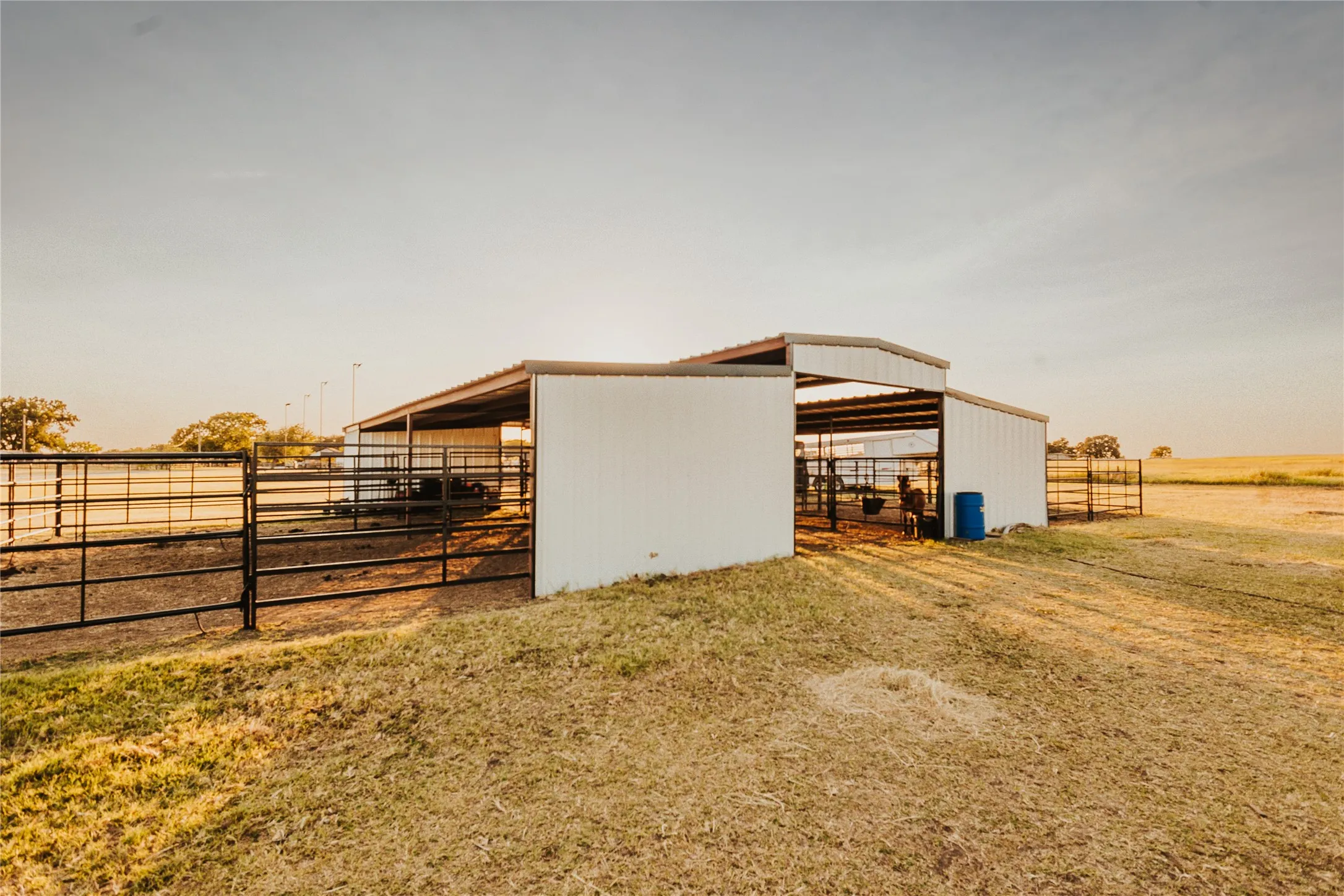 Farm For Sale in Hill County , 246 Hcr 1450 N, Covington, Texas 76636, 3 Bedroom, 2 Bathroom, Garage spaces, 1,500 Sqft, built in 2021, Price $675,000, mls#21364875, Real Estate Agent in Covington, Homes For Sale in Hill county, Homes For Sale in Covington, Realtor in Covington Texas, Real Estate Brokerage Independent Realty Texas, Luminita Cordes Realtor