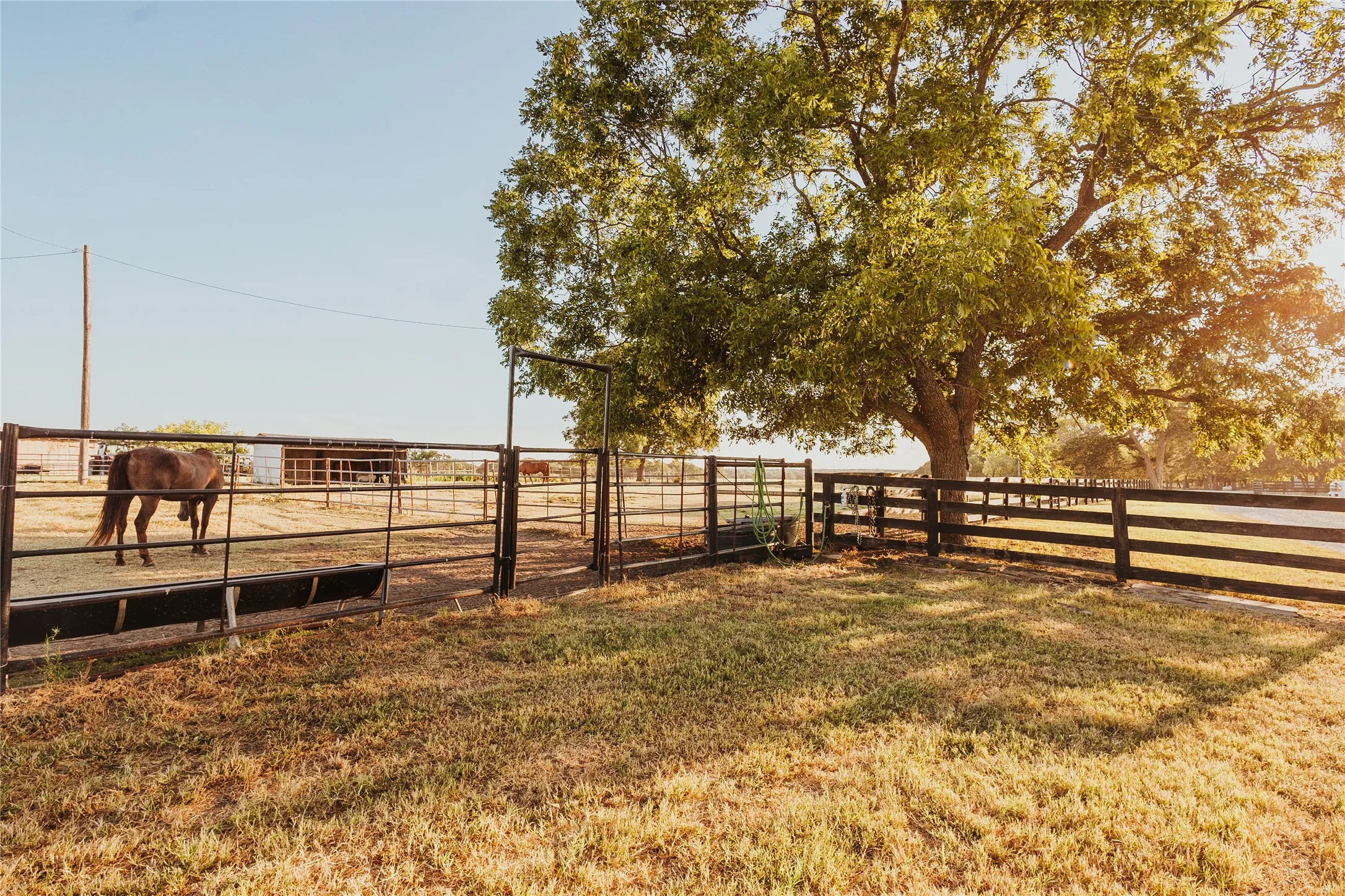Farm For Sale in Hill County , 246 Hcr 1450 N, Covington, Texas 76636, 3 Bedroom, 2 Bathroom, Garage spaces, 1,500 Sqft, built in 2021, Price $675,000, mls#21364875, Real Estate Agent in Covington, Homes For Sale in Hill county, Homes For Sale in Covington, Realtor in Covington Texas, Real Estate Brokerage Independent Realty Texas, Luminita Cordes Realtor