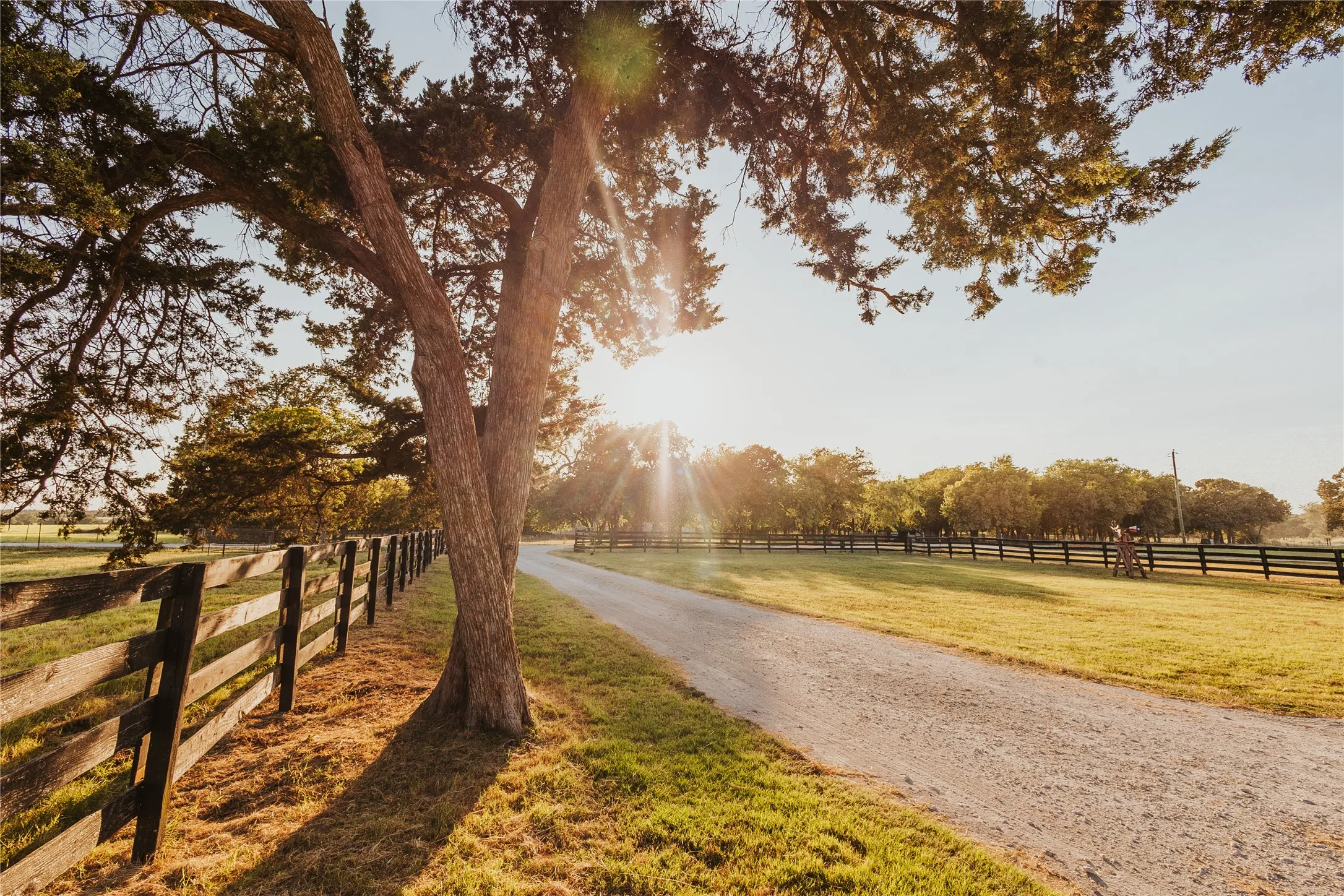 Farm For Sale in Hill County , 246 Hcr 1450 N, Covington, Texas 76636, 3 Bedroom, 2 Bathroom, Garage spaces, 1,500 Sqft, built in 2021, Price $675,000, mls#21364875, Real Estate Agent in Covington, Homes For Sale in Hill county, Homes For Sale in Covington, Realtor in Covington Texas, Real Estate Brokerage Independent Realty Texas, Luminita Cordes Realtor