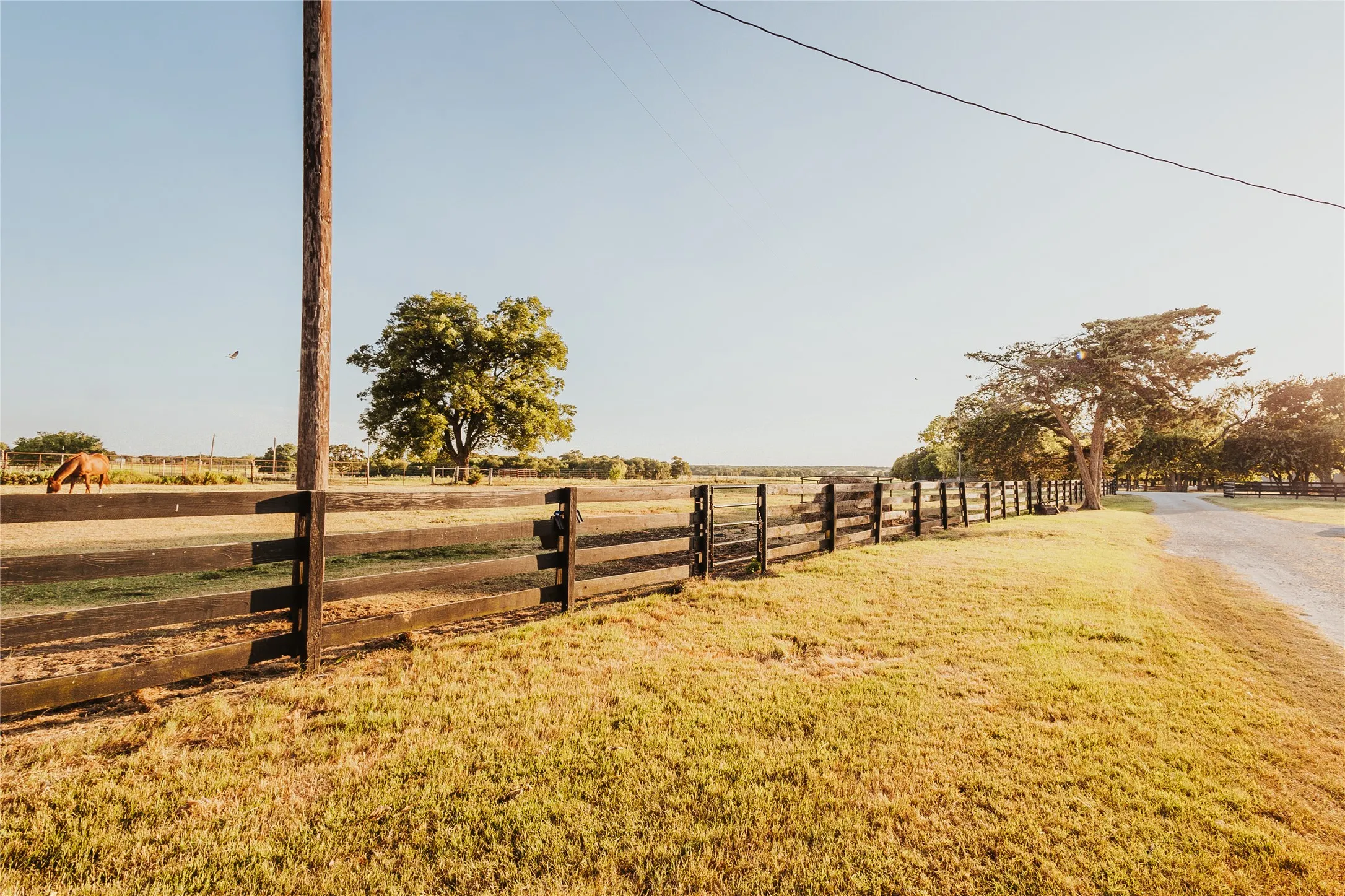 Farm For Sale in Hill County , 246 Hcr 1450 N, Covington, Texas 76636, 3 Bedroom, 2 Bathroom, Garage spaces, 1,500 Sqft, built in 2021, Price $675,000, mls#21364875, Real Estate Agent in Covington, Homes For Sale in Hill county, Homes For Sale in Covington, Realtor in Covington Texas, Real Estate Brokerage Independent Realty Texas, Luminita Cordes Realtor