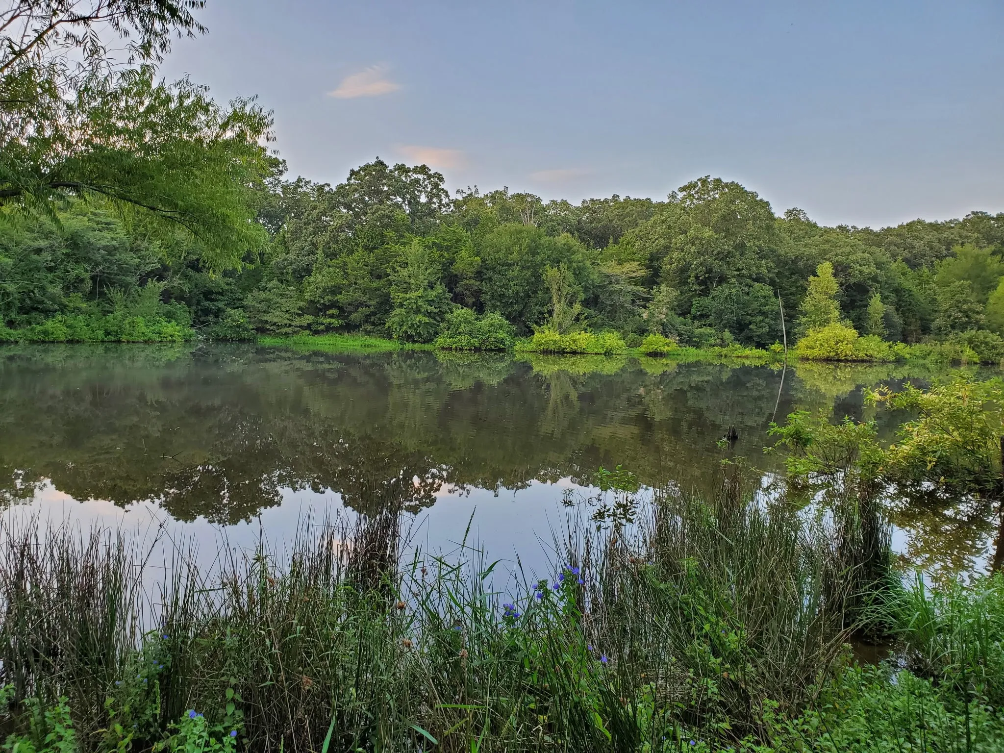 Unimproved Land For Sale in Hopkins County , 940 County Road 1106 E, Sulphur Springs, Texas 75482, 0, 0, Garage spaces, 0 Sqft, built in 0, mls#21365107, Real Estate Agent in Sulphur Springs, Homes For Sale in Hopkins county, Homes For Sale in Sulphur Springs, Realtor in Sulphur Springs Texas, Real Estate Brokerage Independent Realty Texas, Luminita Cordes Realtor