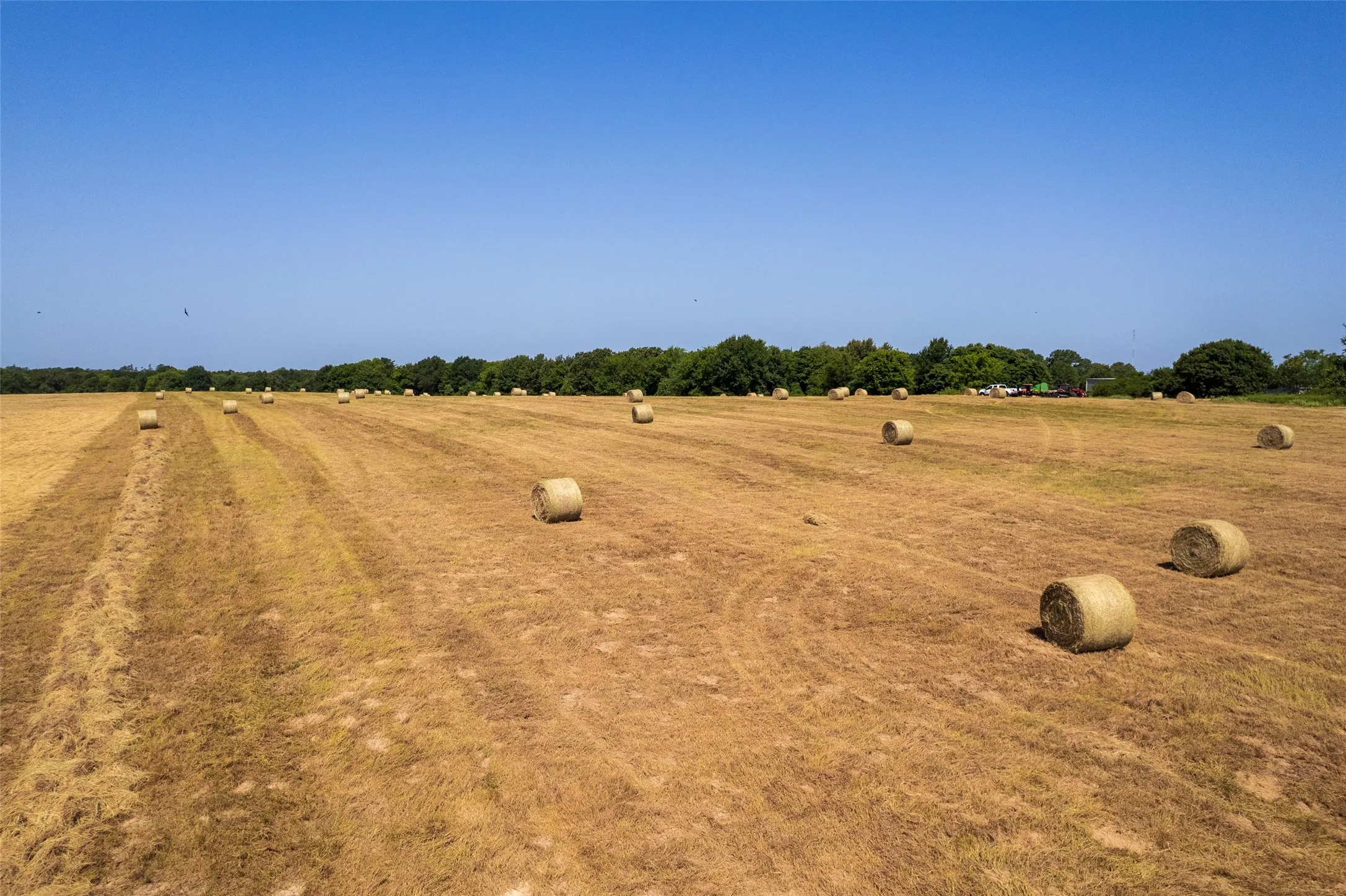 Unimproved Land For Sale in Hopkins County , 940 County Road 1106 E, Sulphur Springs, Texas 75482, 0, 0, Garage spaces, 0 Sqft, built in 0, mls#21365107, Real Estate Agent in Sulphur Springs, Homes For Sale in Hopkins county, Homes For Sale in Sulphur Springs, Realtor in Sulphur Springs Texas, Real Estate Brokerage Independent Realty Texas, Luminita Cordes Realtor