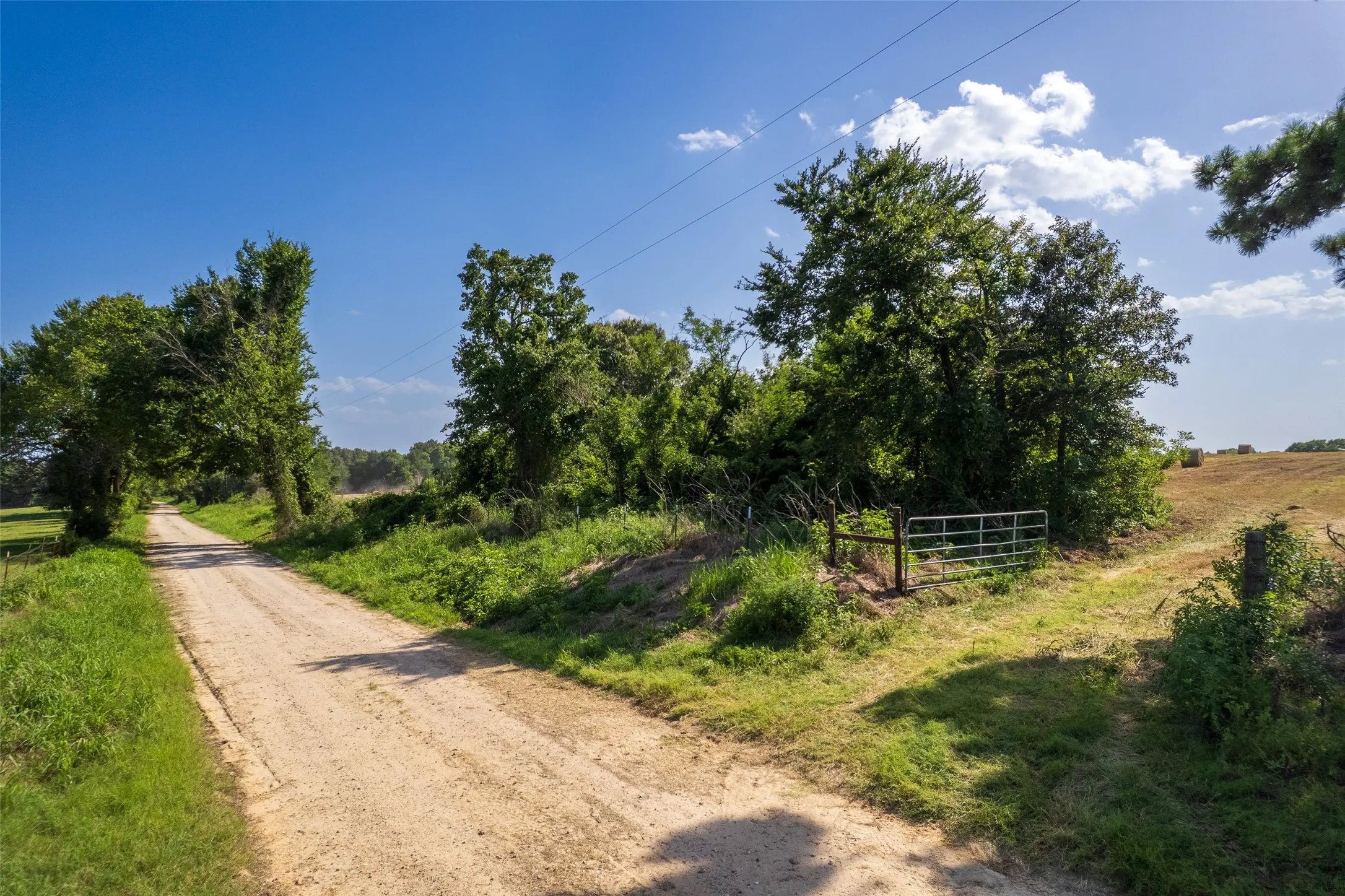 Unimproved Land For Sale in Hopkins County , 940 County Road 1106 E, Sulphur Springs, Texas 75482, 0, 0, Garage spaces, 0 Sqft, built in 0, mls#21365107, Real Estate Agent in Sulphur Springs, Homes For Sale in Hopkins county, Homes For Sale in Sulphur Springs, Realtor in Sulphur Springs Texas, Real Estate Brokerage Independent Realty Texas, Luminita Cordes Realtor