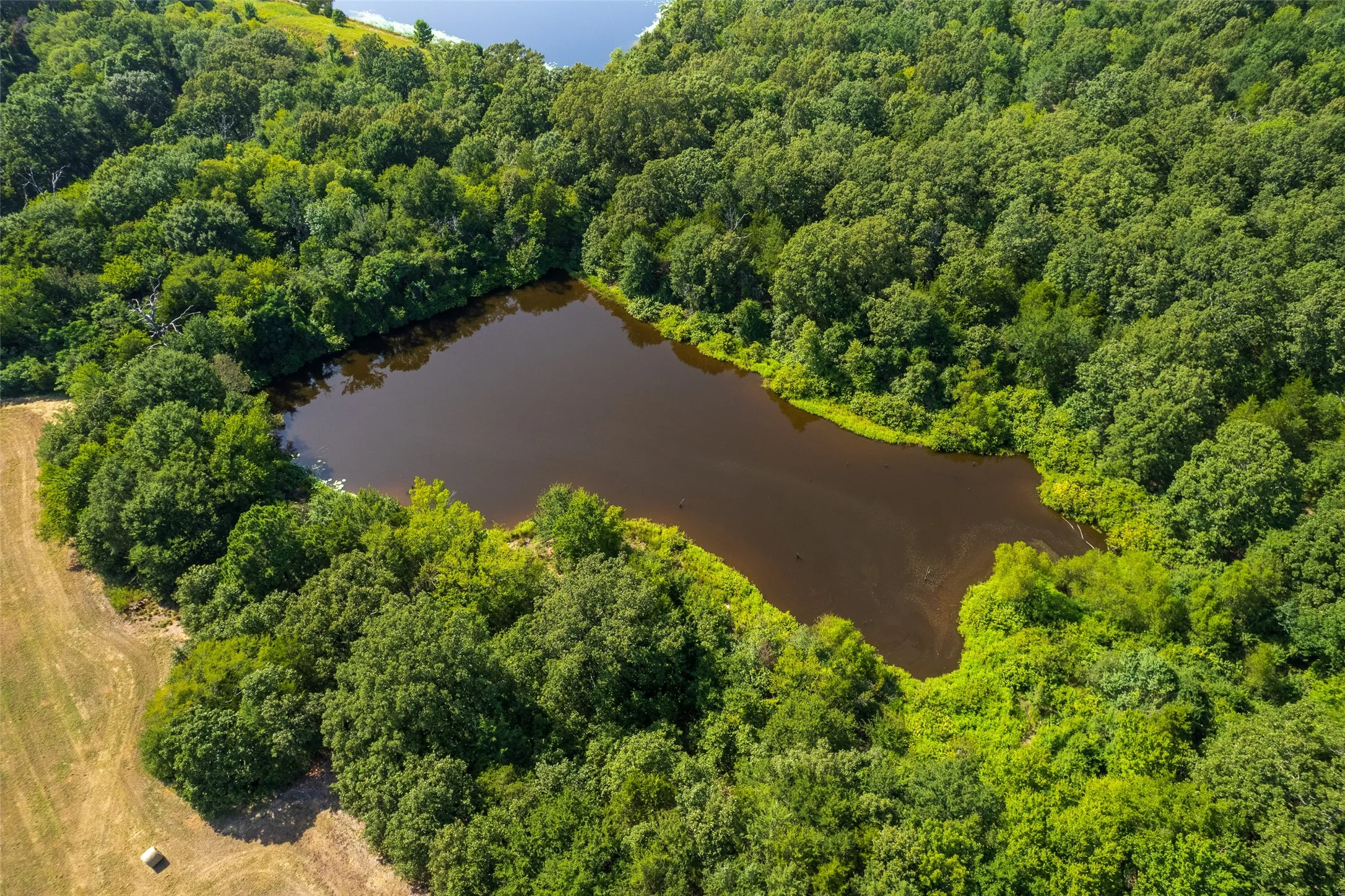 Unimproved Land For Sale in Hopkins County , 940 County Road 1106 E, Sulphur Springs, Texas 75482, 0, 0, Garage spaces, 0 Sqft, built in 0, mls#21365107, Real Estate Agent in Sulphur Springs, Homes For Sale in Hopkins county, Homes For Sale in Sulphur Springs, Realtor in Sulphur Springs Texas, Real Estate Brokerage Independent Realty Texas, Luminita Cordes Realtor