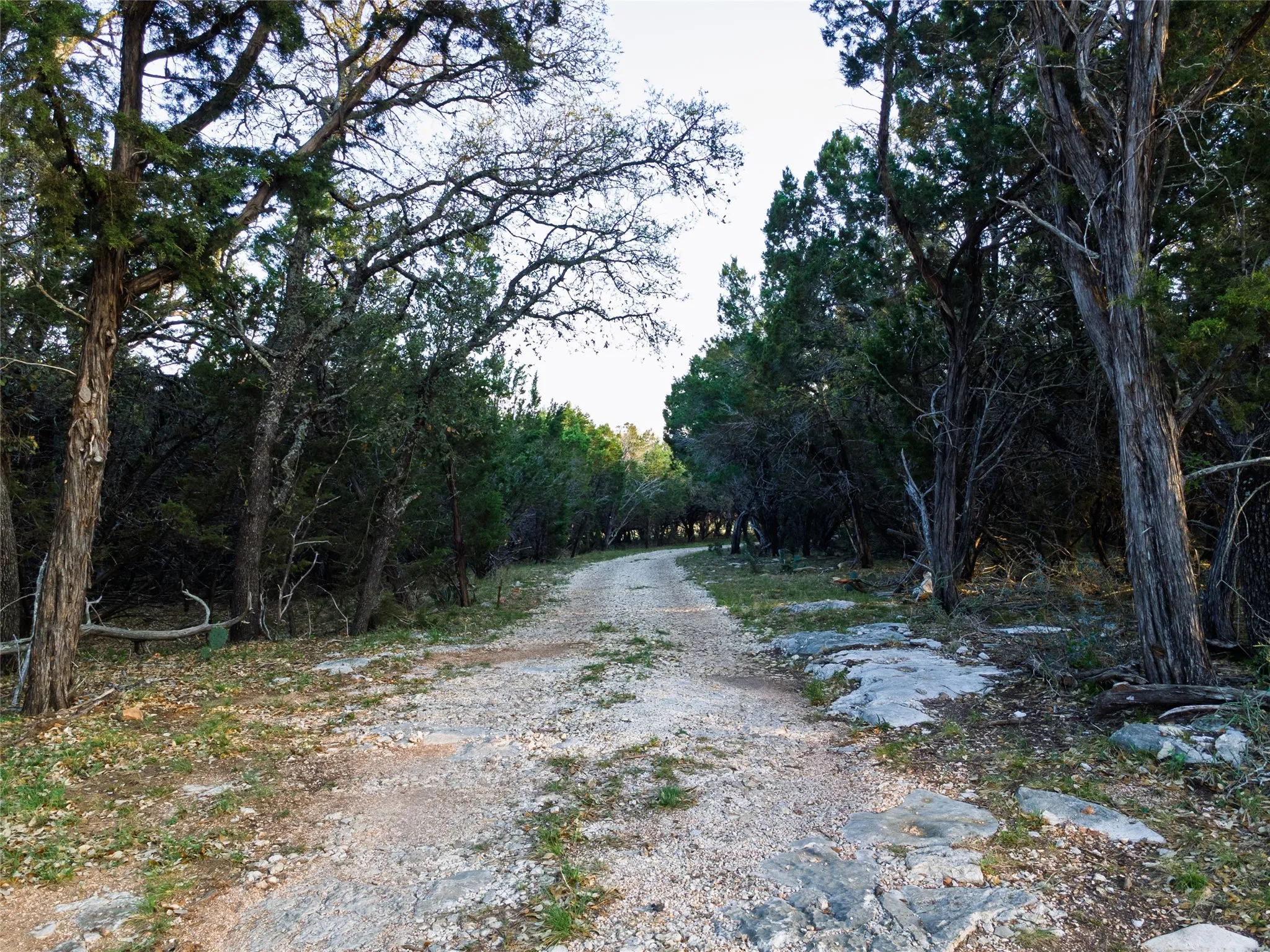 Gravel pathway bordered by mature trees and natural rock formations