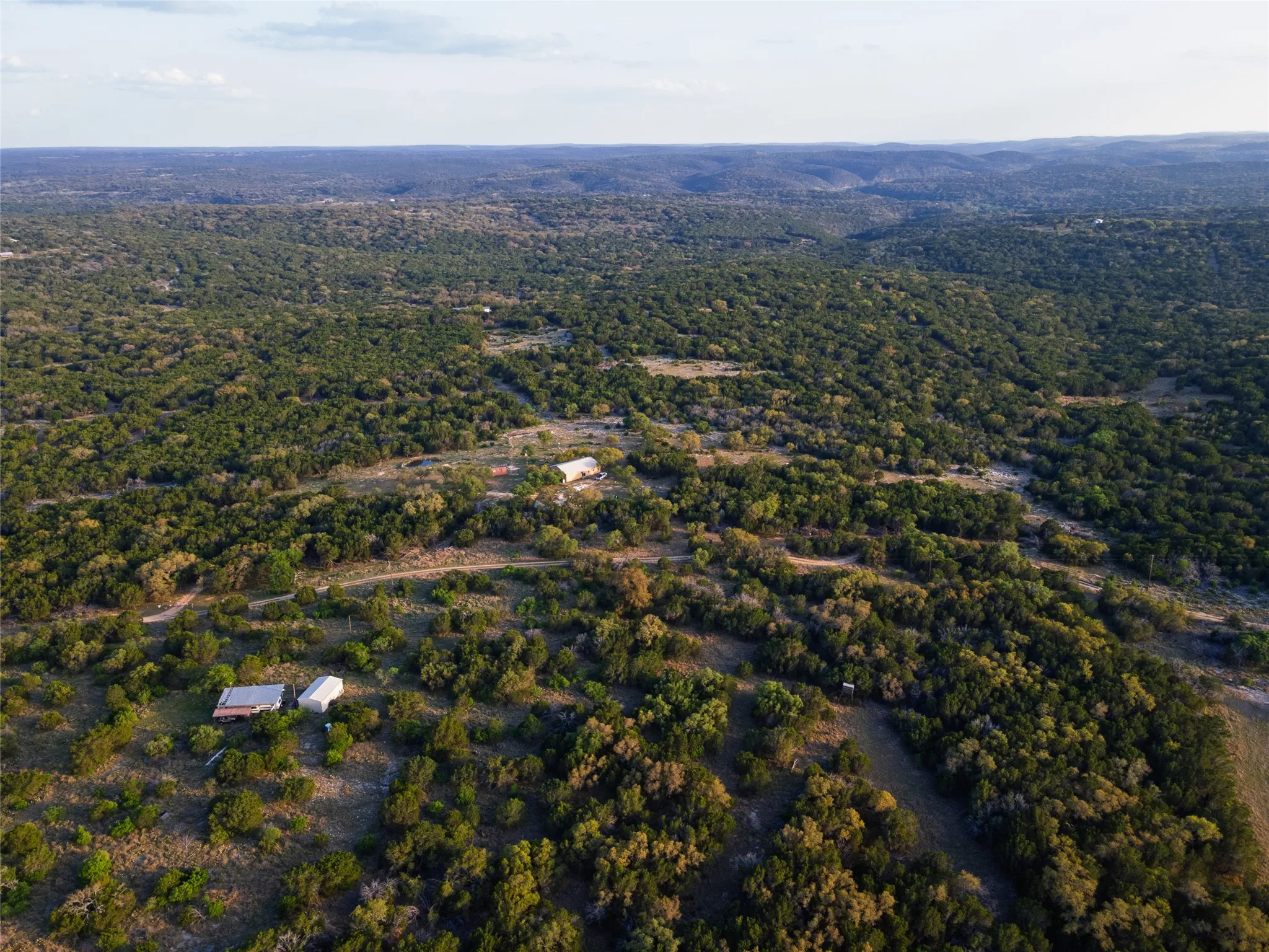 Expansive acreage with dense tree coverage