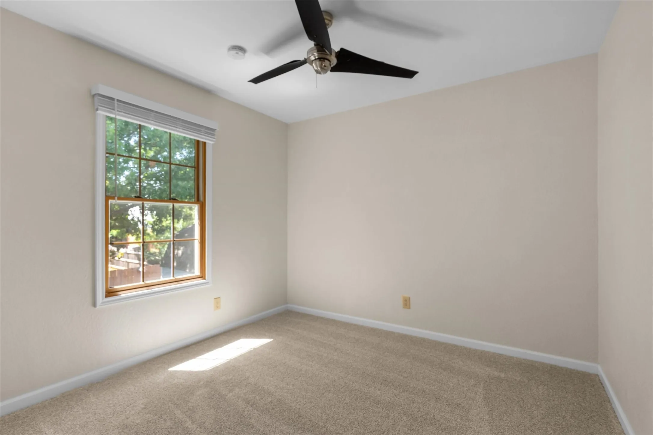 Additional bedroom with carpet flooring, ceiling fan, and natural light