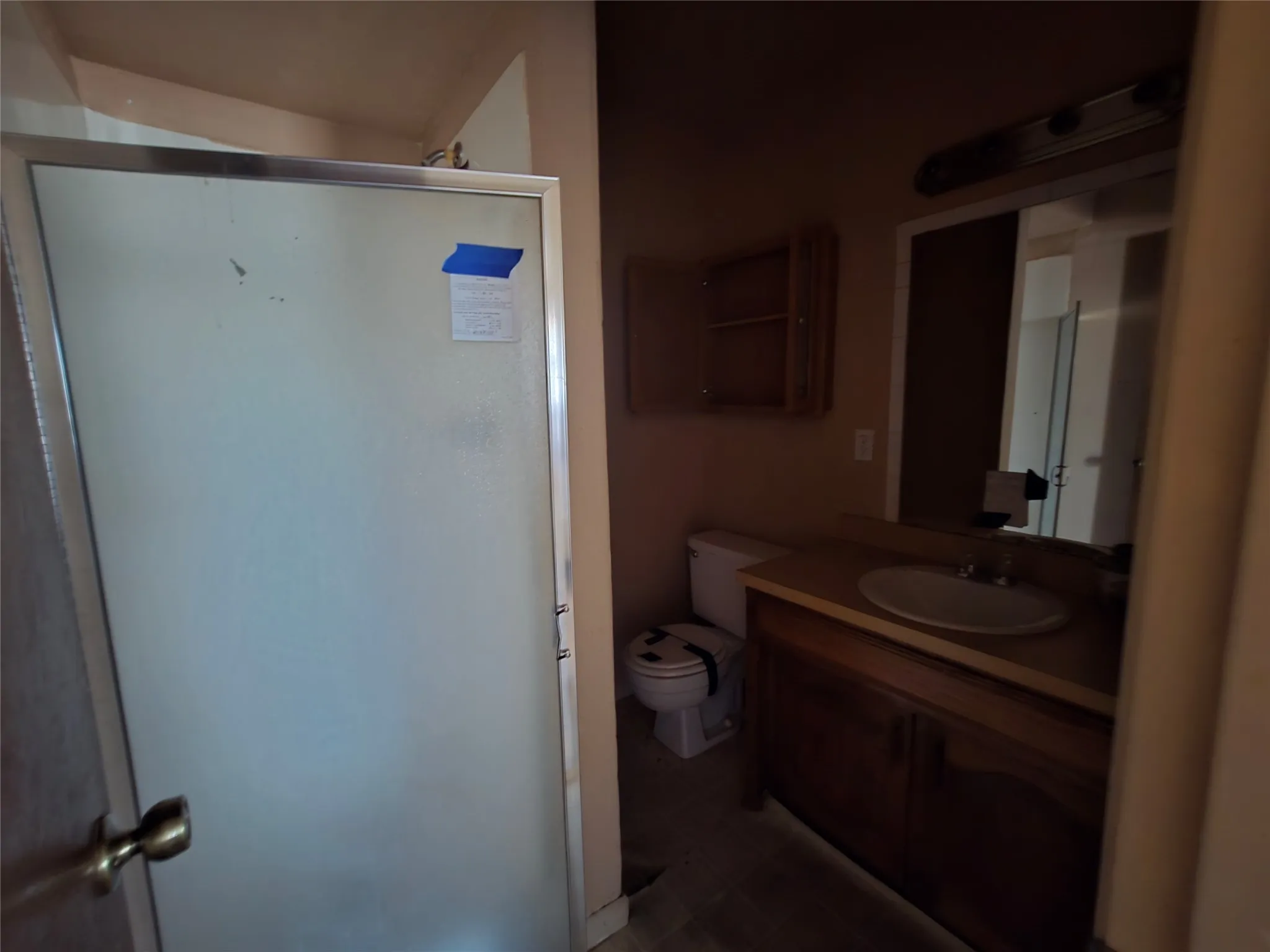 Frosted glass shower enclosure, wood-finish vanity with an integrated sink, wall-mounted medicine cabinet, and a large mirror