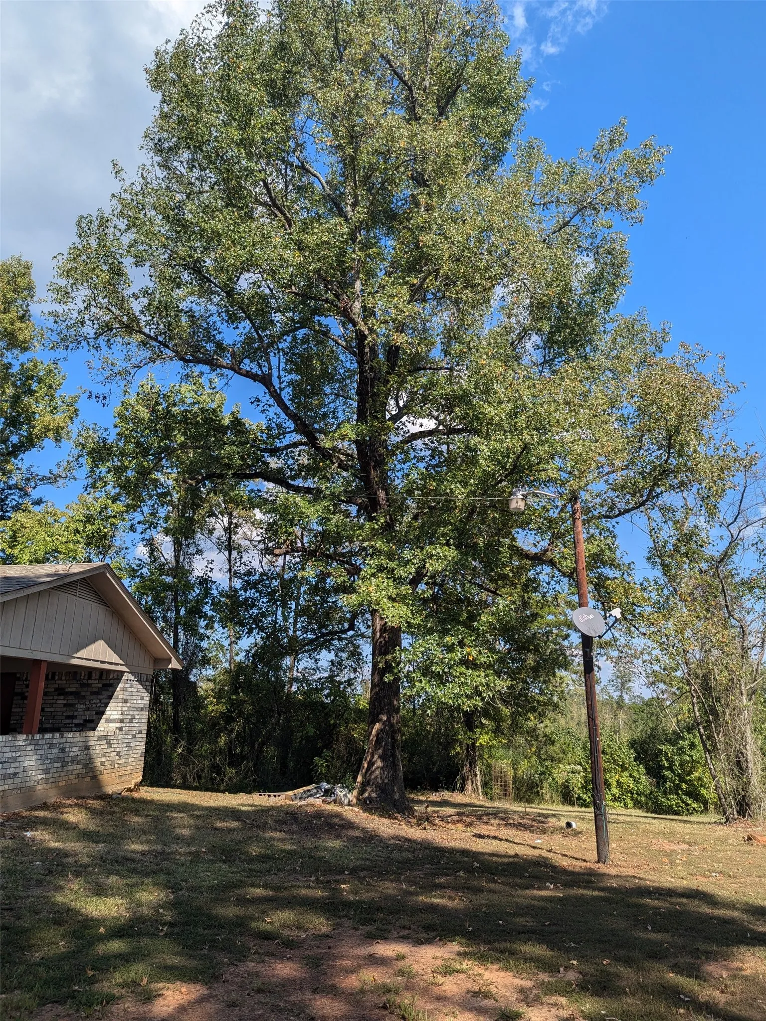 Single Family Residence For Sale in Cass County , 11728 Fm 1399, Marietta, Texas 75566, 2 Bedroom, 1 Bathroom, Garage spaces, 858 Sqft, built in 1980, Price $120,000, mls#21365167, Real Estate Agent in Marietta, Homes For Sale in Cass county, Homes For Sale in Marietta, Realtor in Marietta Texas, Real Estate Brokerage Independent Realty Texas, Luminita Cordes Realtor