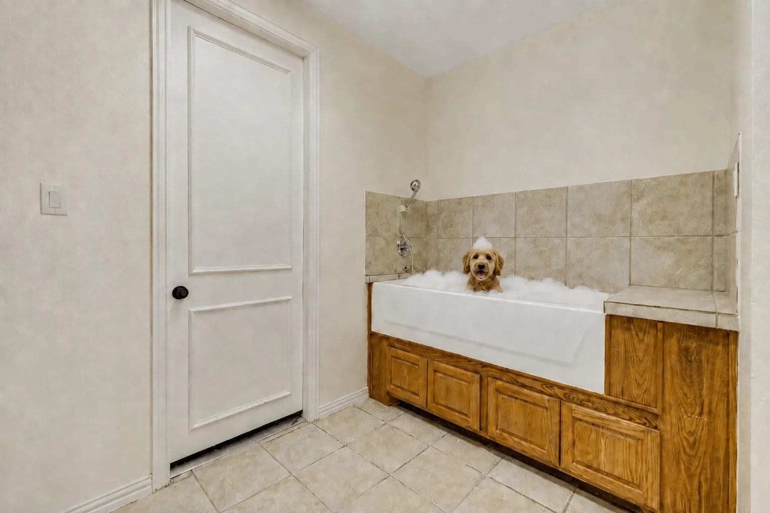Dog washing station in laundry room. Dog and bubbles are AI generated.