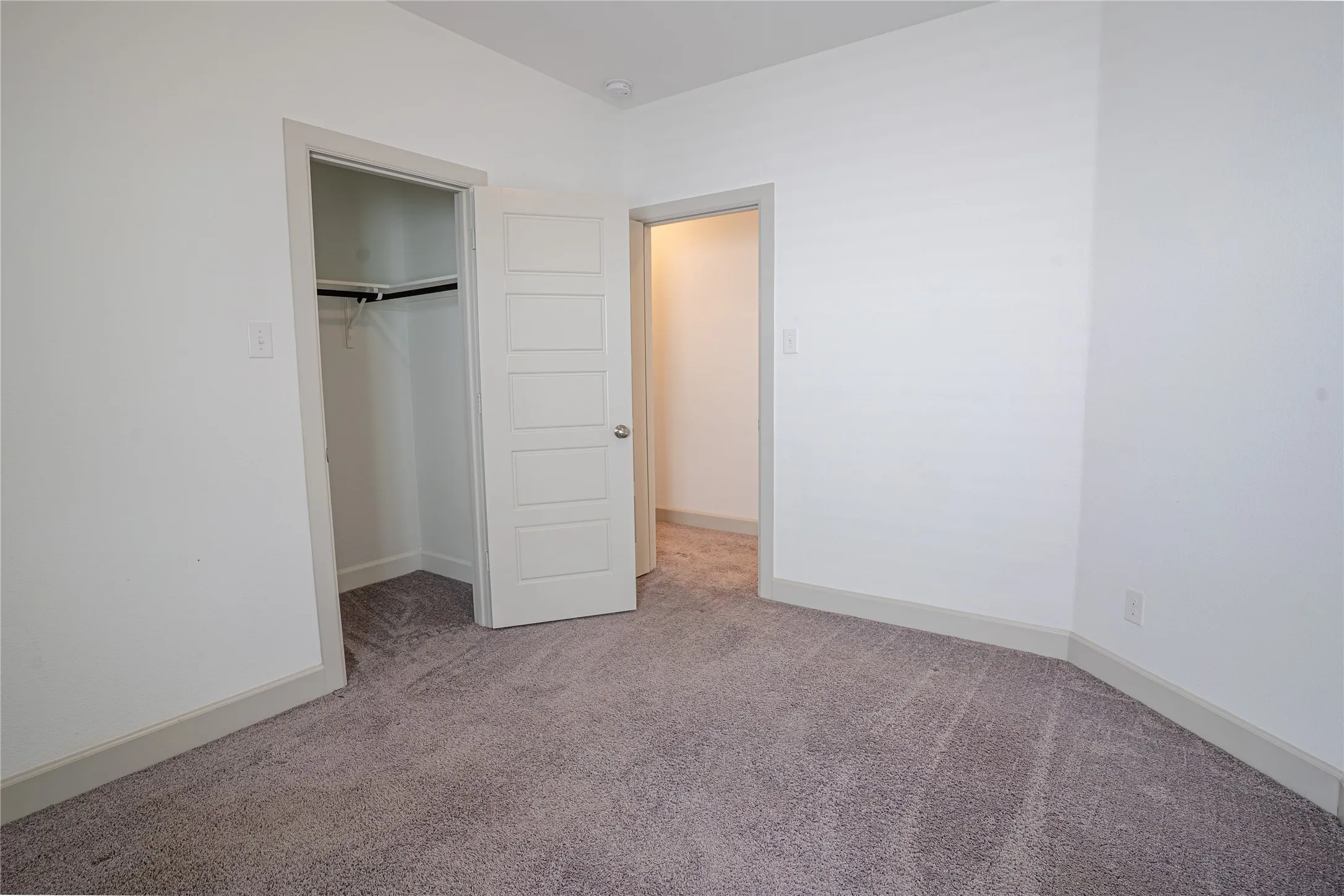 Plush carpet flooring, white painted walls, white trim, and a built-in closet with shelving and hanging rod