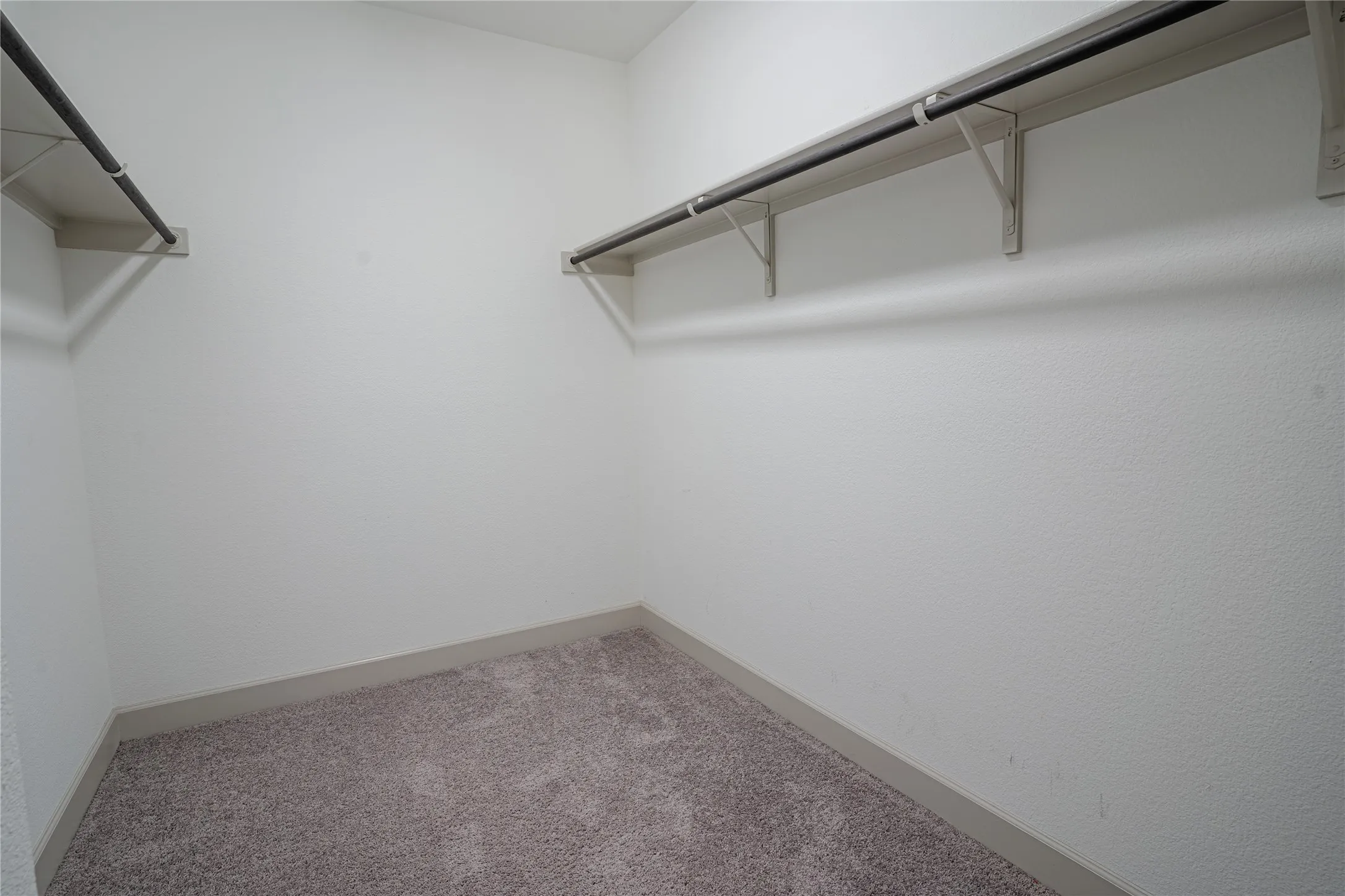 Carpeted walk-in closet with textured white walls and integrated shelving with garment rods