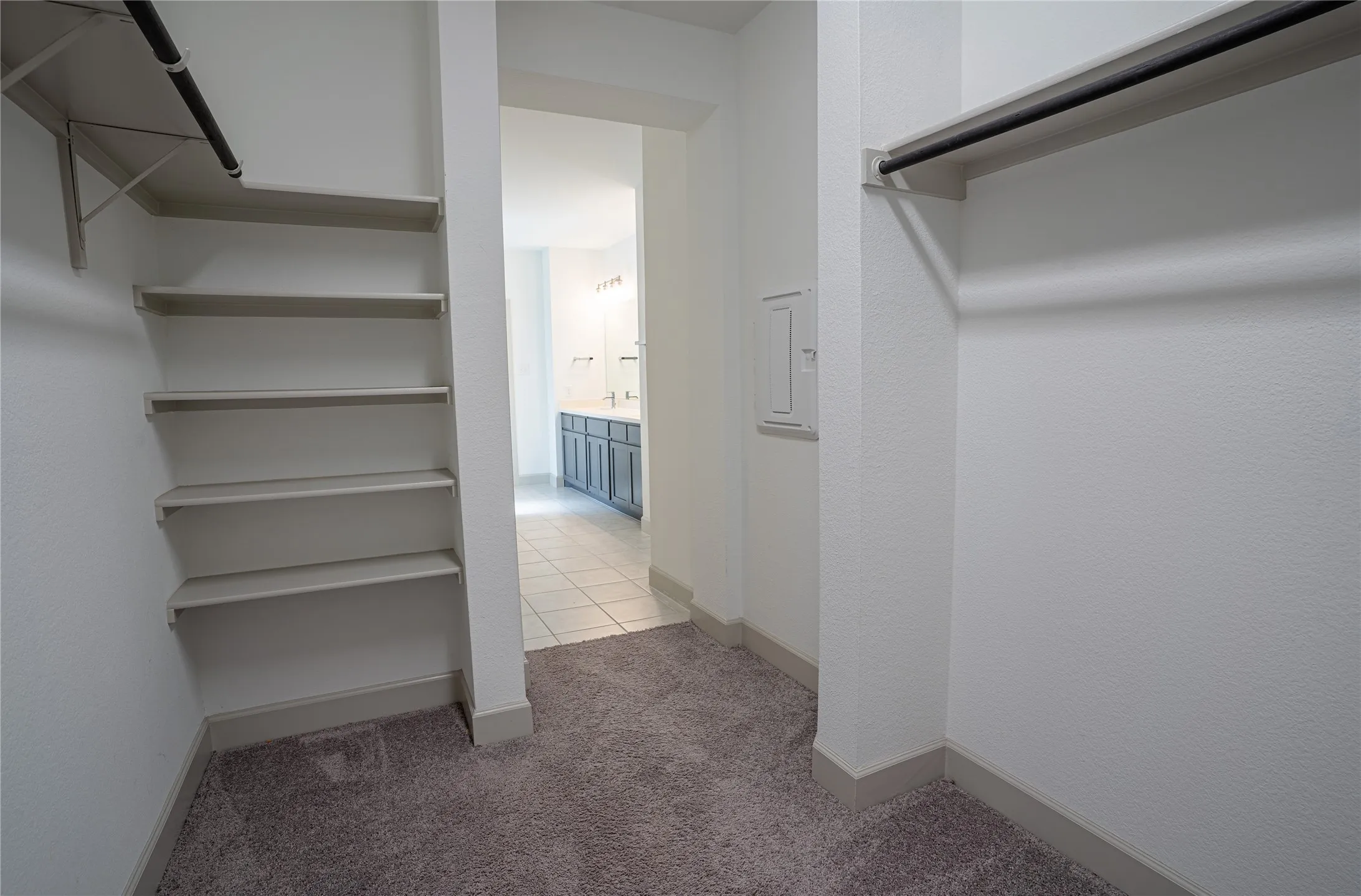 Walk-in closet with carpet flooring, built-in shelving, and clothes hanging rods