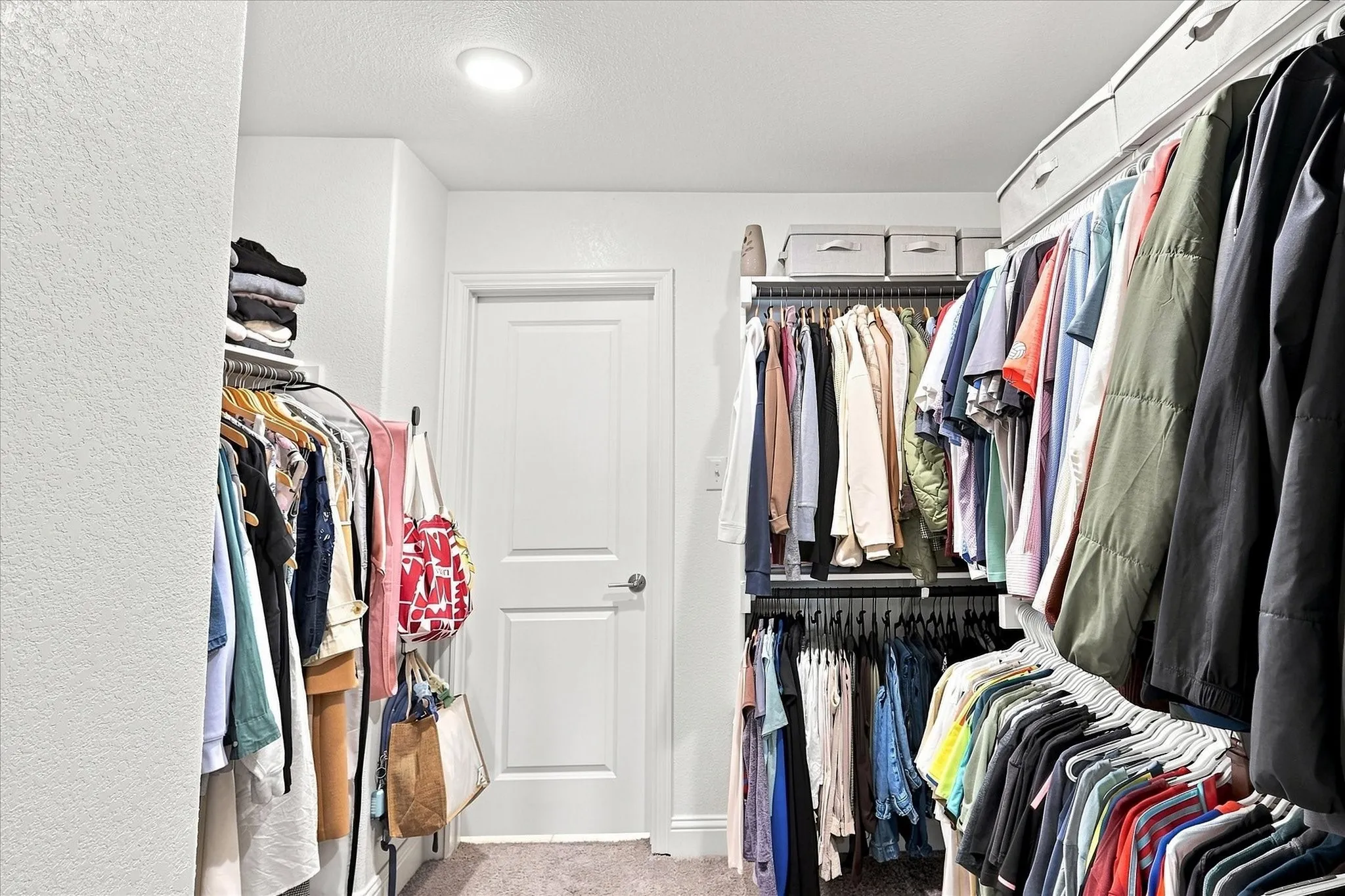 Recessed lighting, white paneled door, carpet flooring, built-in shelving, and multiple clothing rods