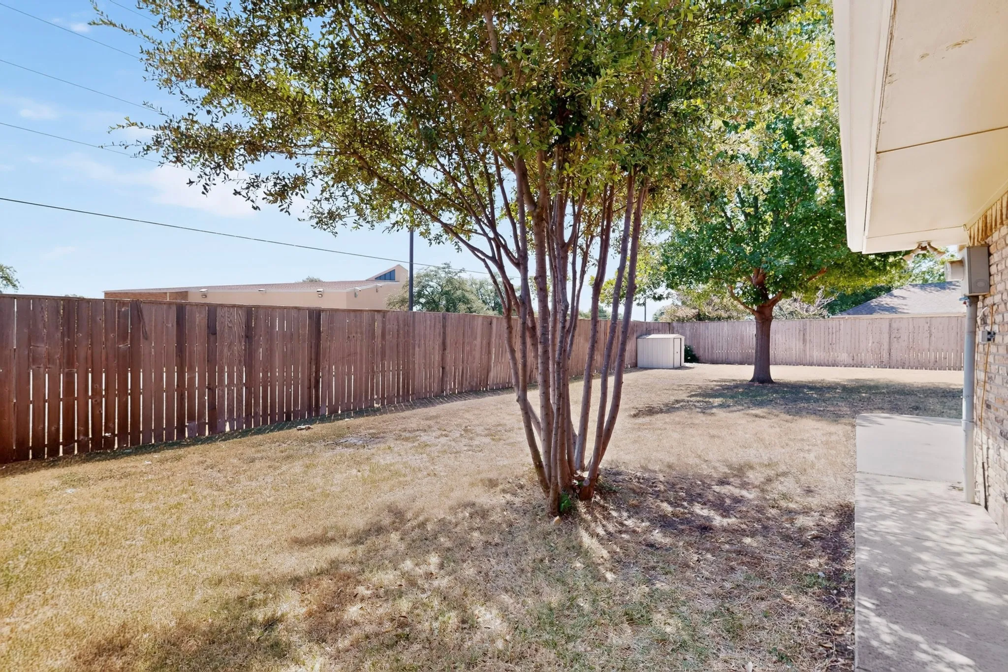 Expansive backyard with a full privacy fence, mature trees, and a concrete patio