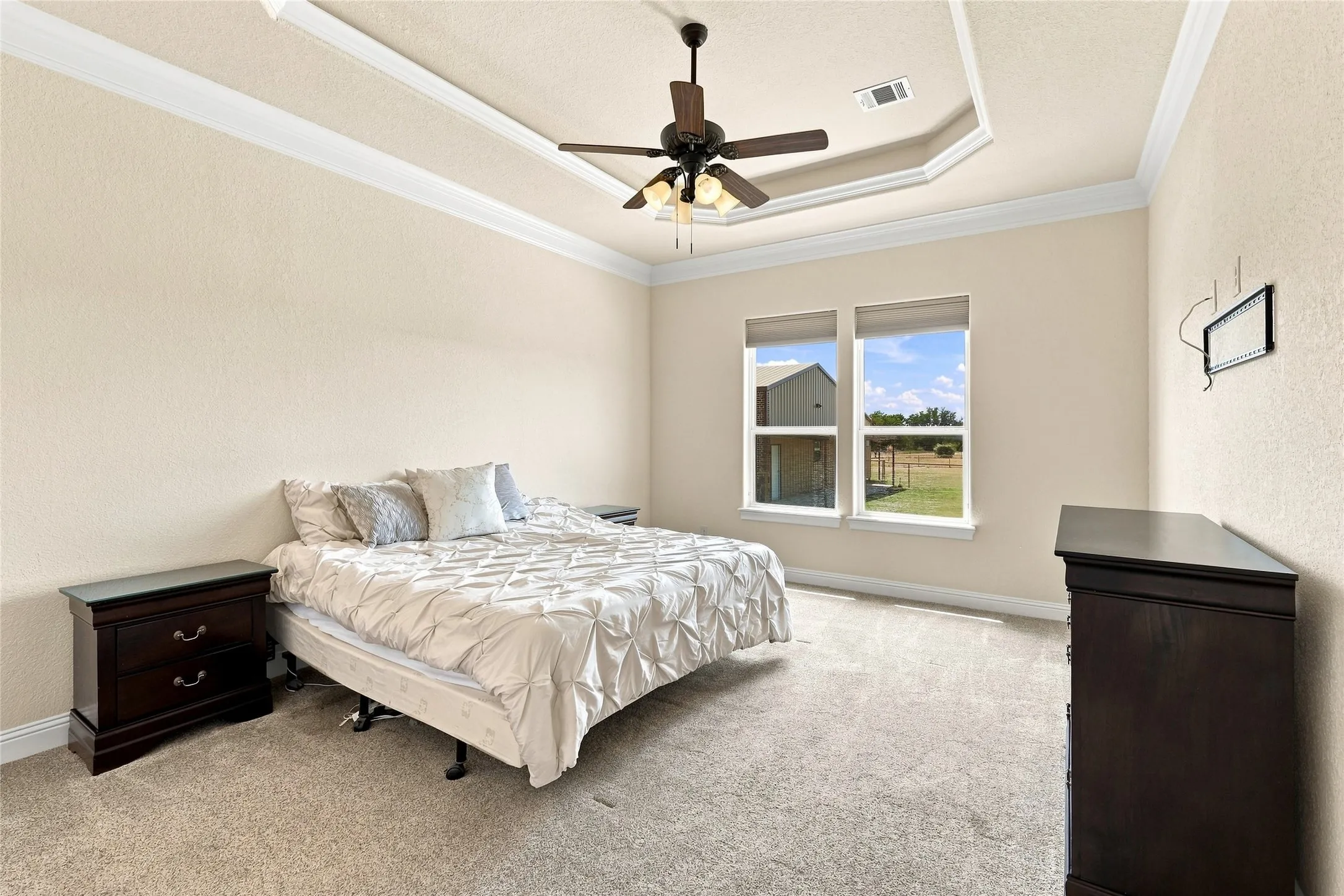 Tray ceiling with crown molding, ceiling fan with light fixture, dual windows, and plush carpeting