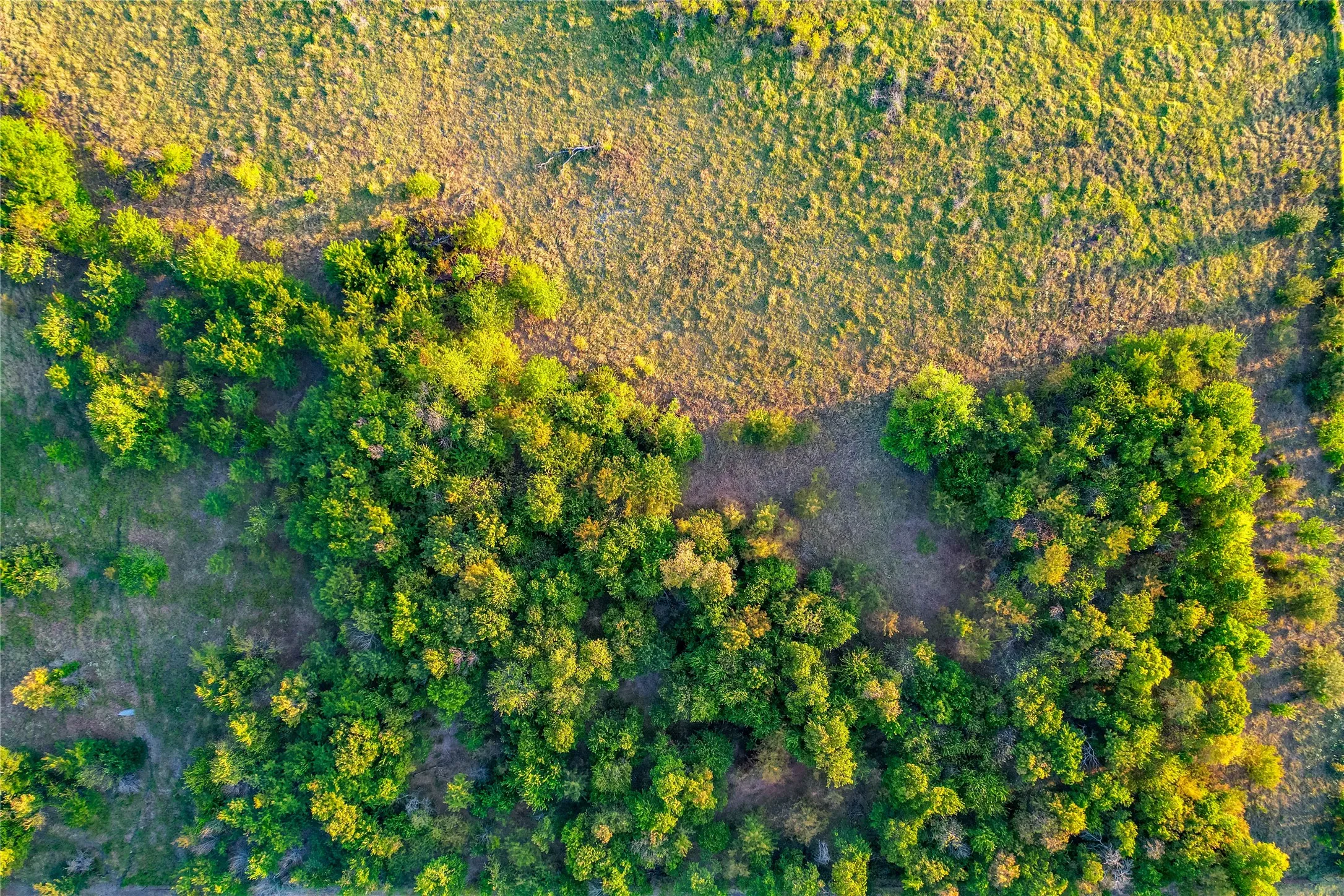 Expansive green space featuring cultivated land and natural tree cover