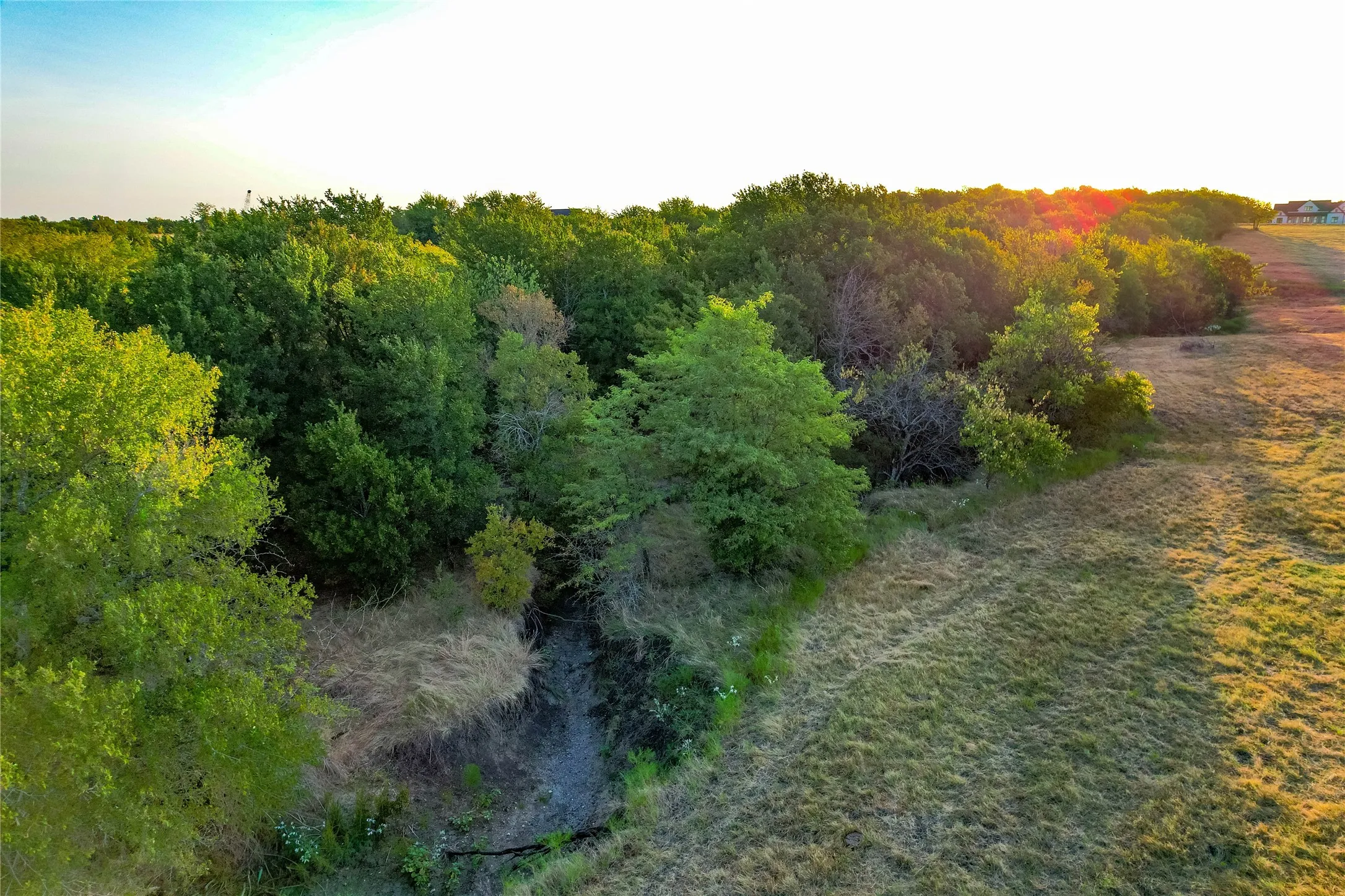 Unimproved Land For Sale in Collin County , TBD CR 613, Farmersville, Texas 75442, 0, 0, Garage spaces, 0 Sqft, built in 0, mls#21365228, Real Estate Agent in Farmersville, Homes For Sale in Collin county, Homes For Sale in Farmersville, Realtor in Farmersville Texas, Real Estate Brokerage Independent Realty Texas, Luminita Cordes Realtor