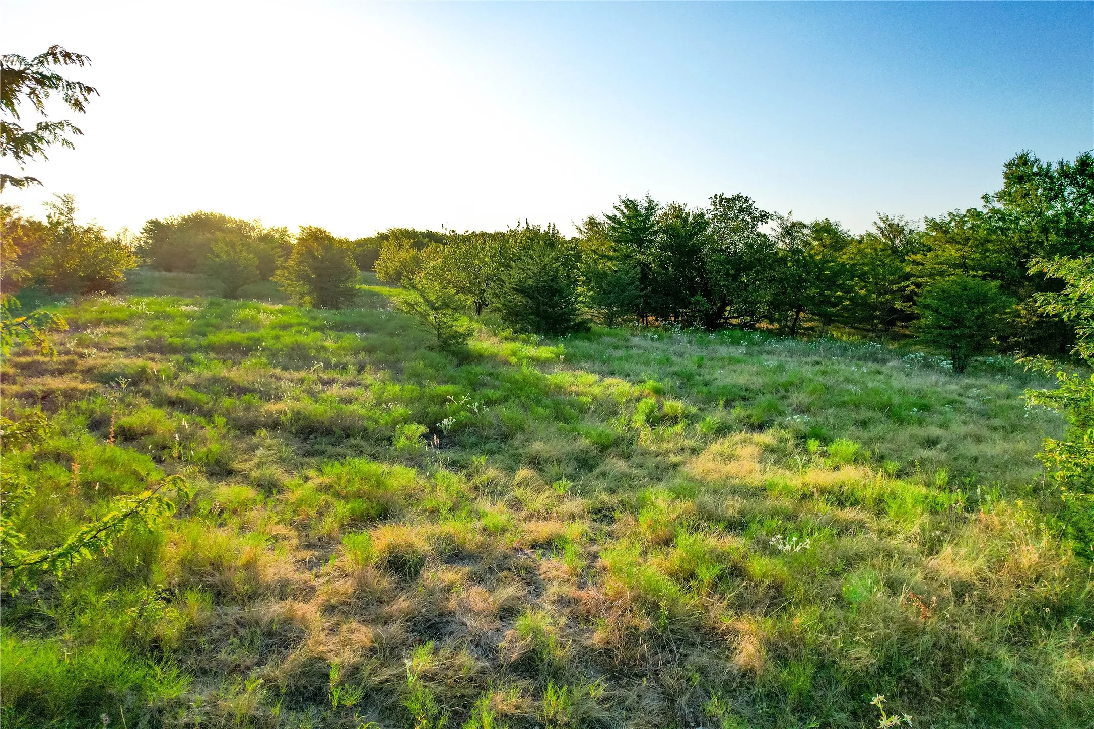Expansive grassy terrain with varied foliage and surrounding trees
