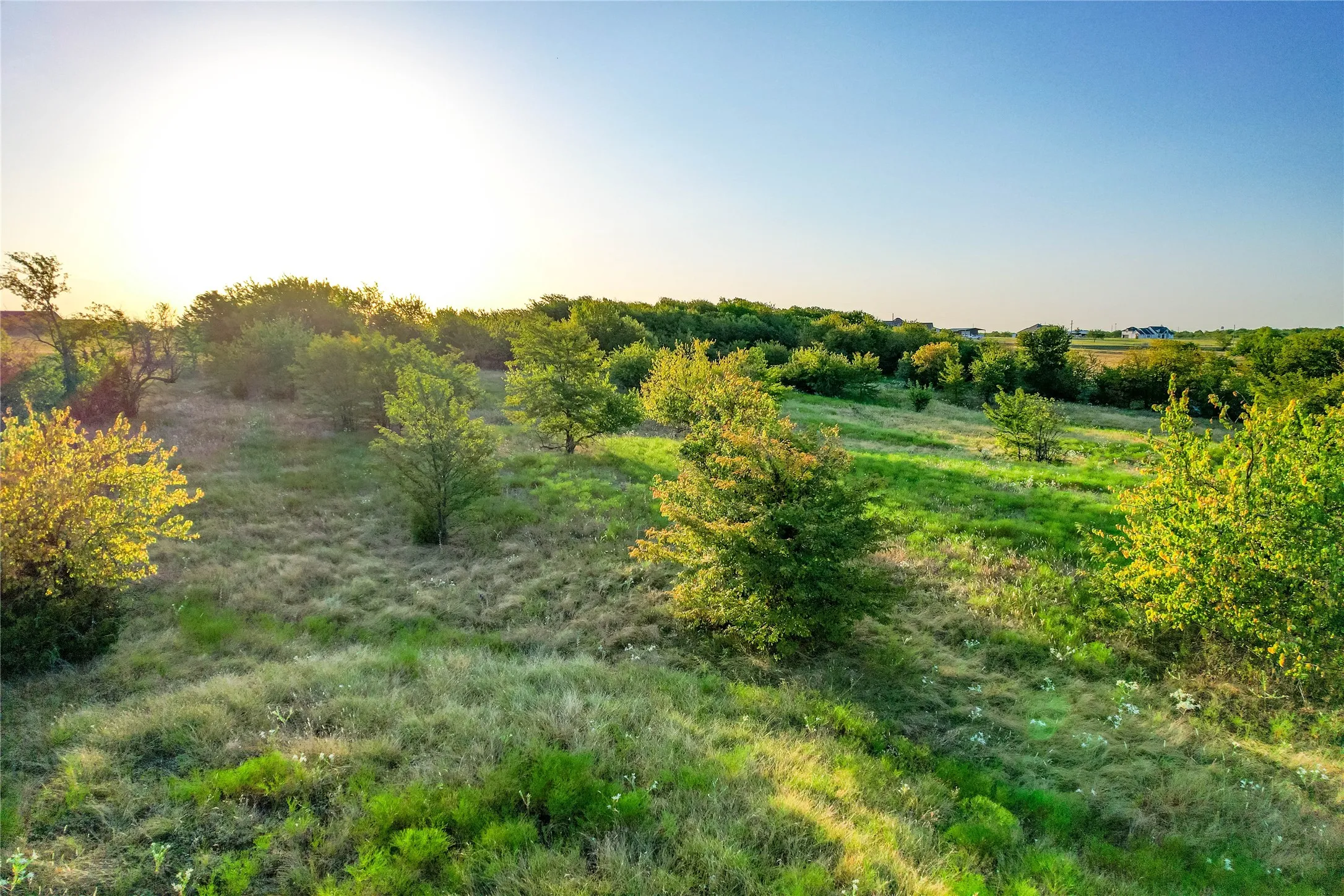 Expansive green landscape with varying grasses and diverse tree coverage