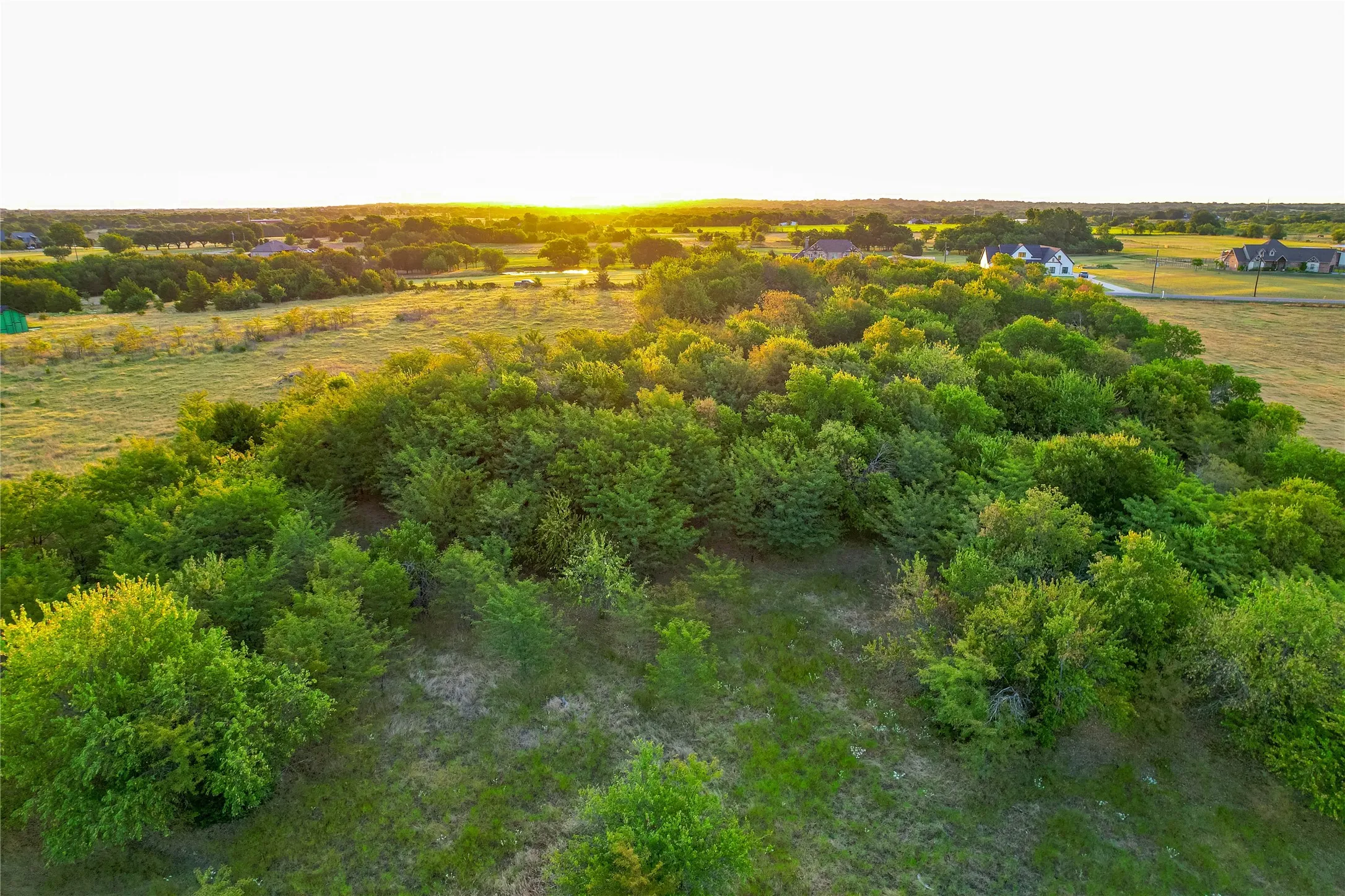 Expansive acreage featuring mature trees and open grassy areas
