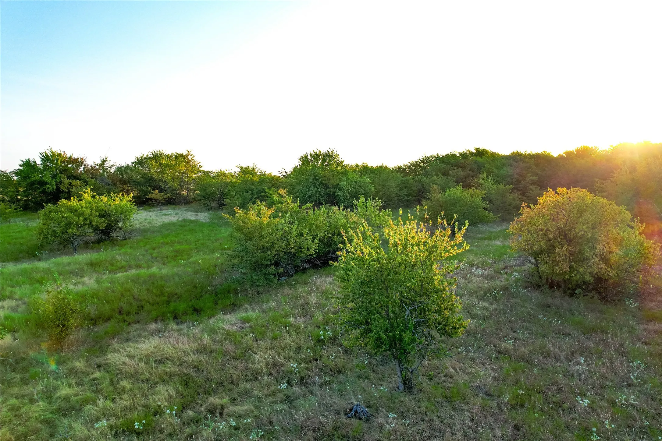 Expansive natural landscape with varied mature greenery and open grassy areas