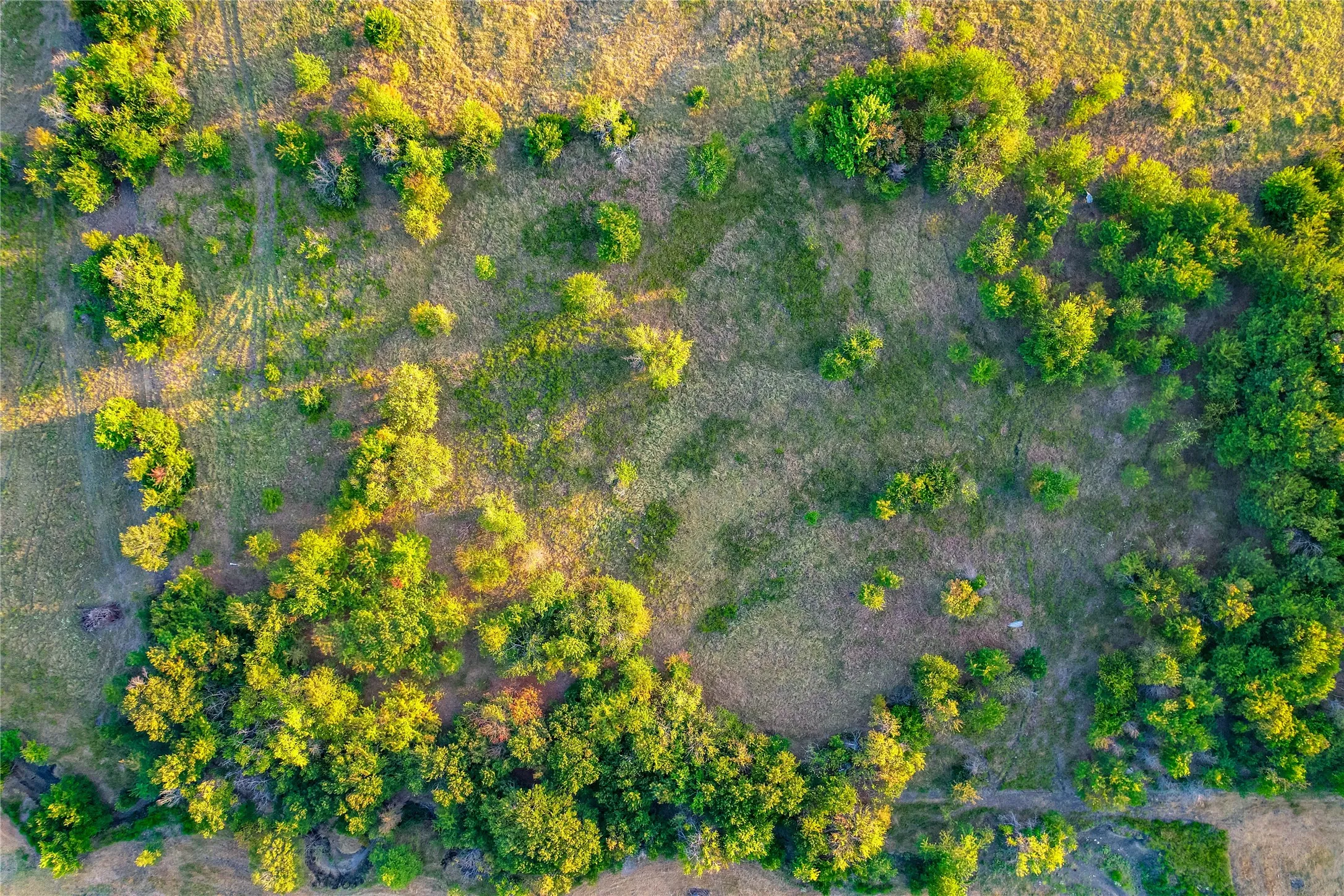 Expansive acreage featuring mature trees and varied green foliage